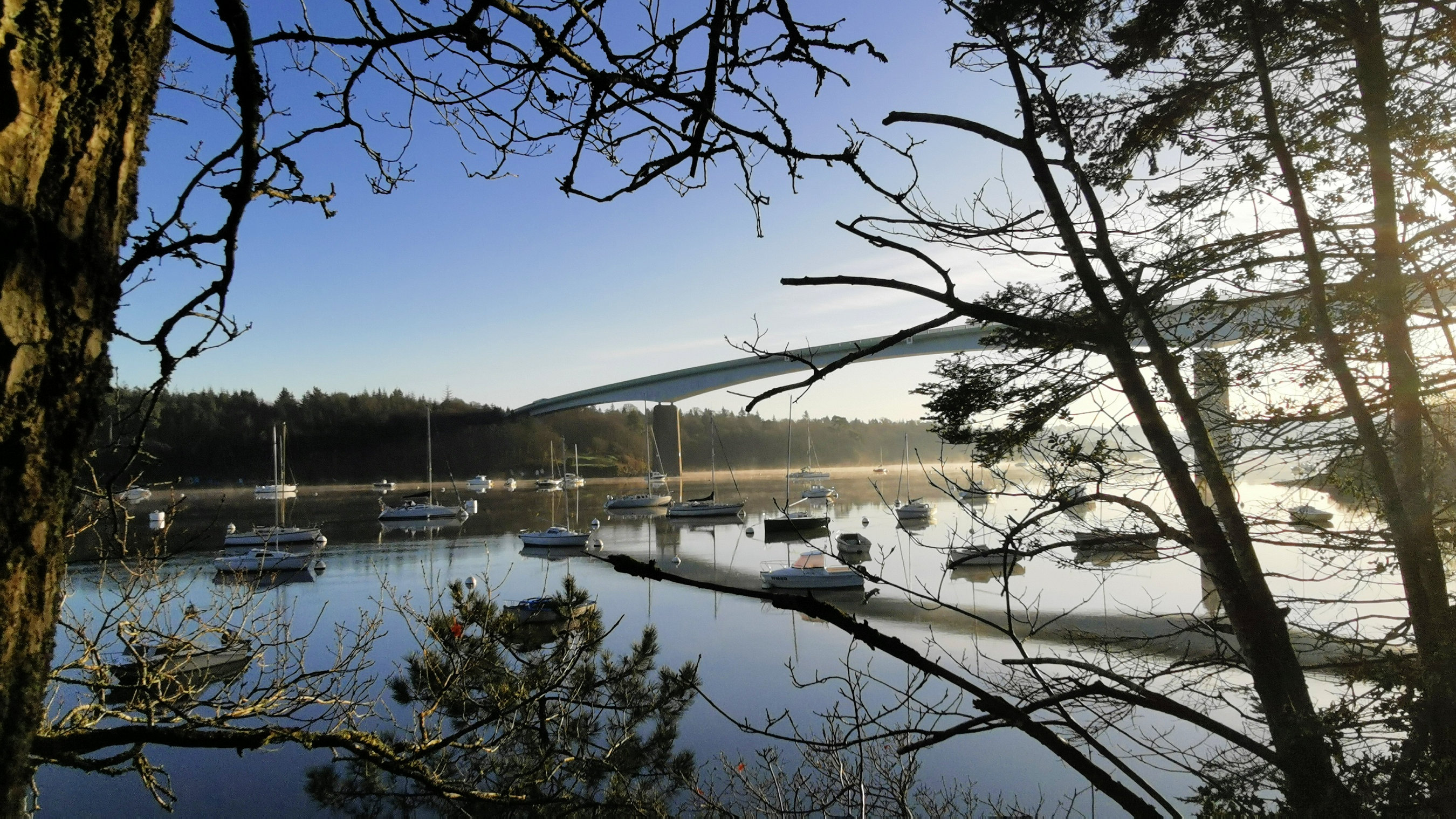 01-IMG_20210206_094138_1