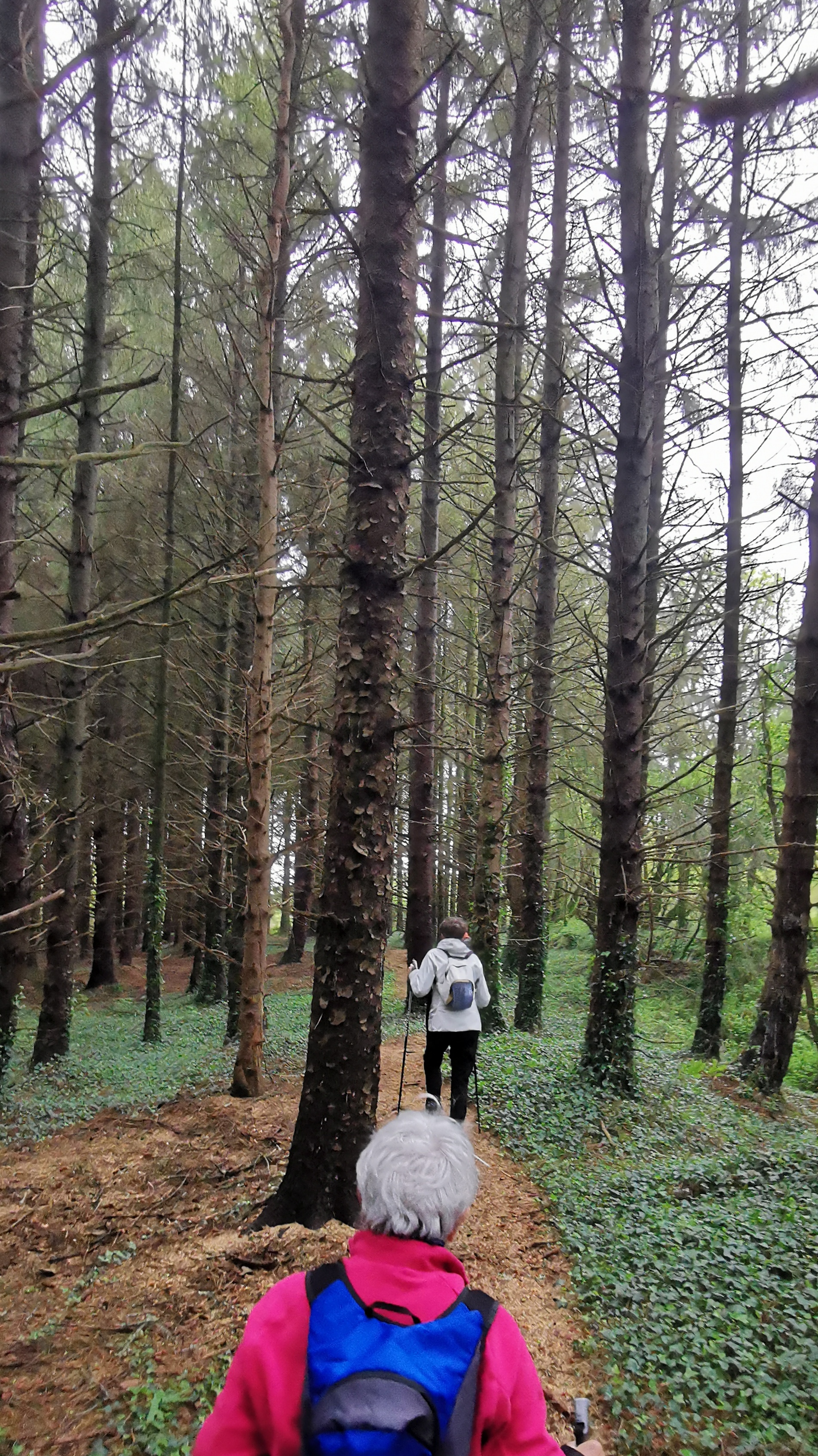 48-IMG_20210508_111120