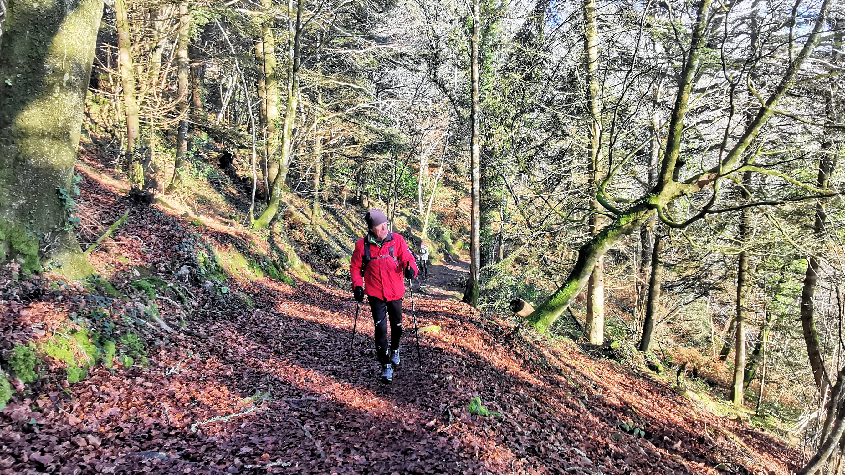 20-IMG_20210109_104235