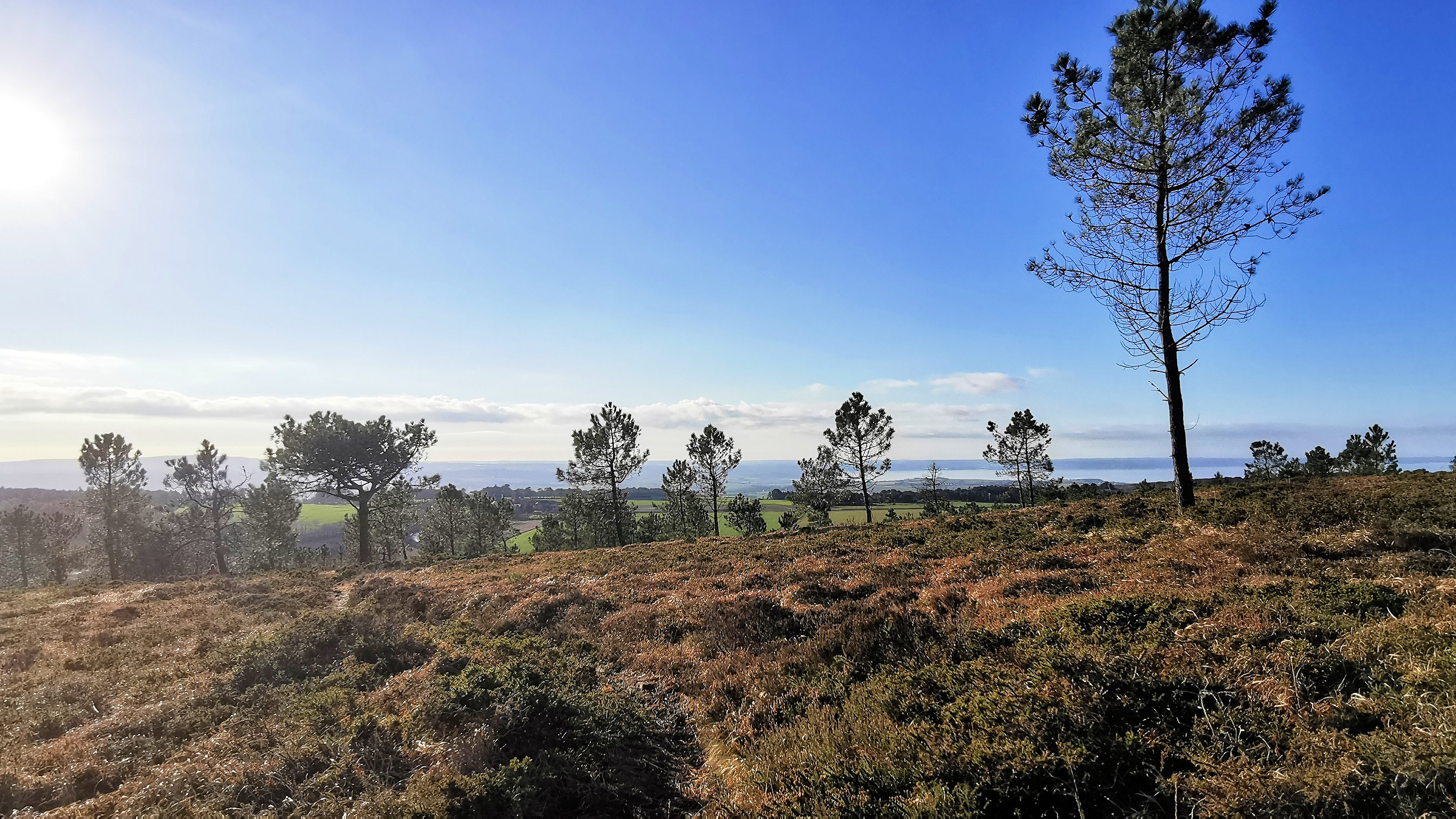 144-IMG_20210110_113557