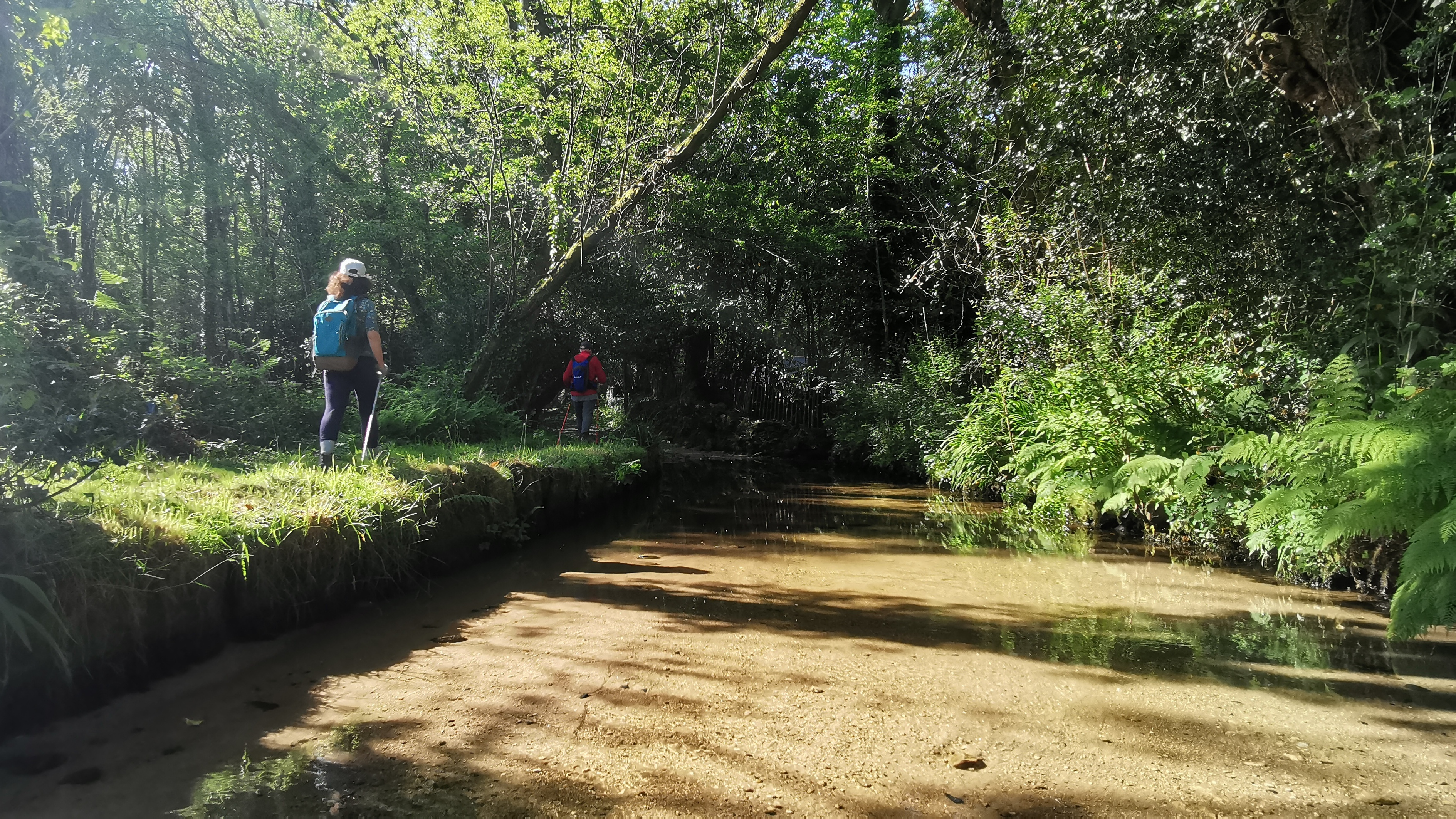 13-IMG_20210531_102306_1