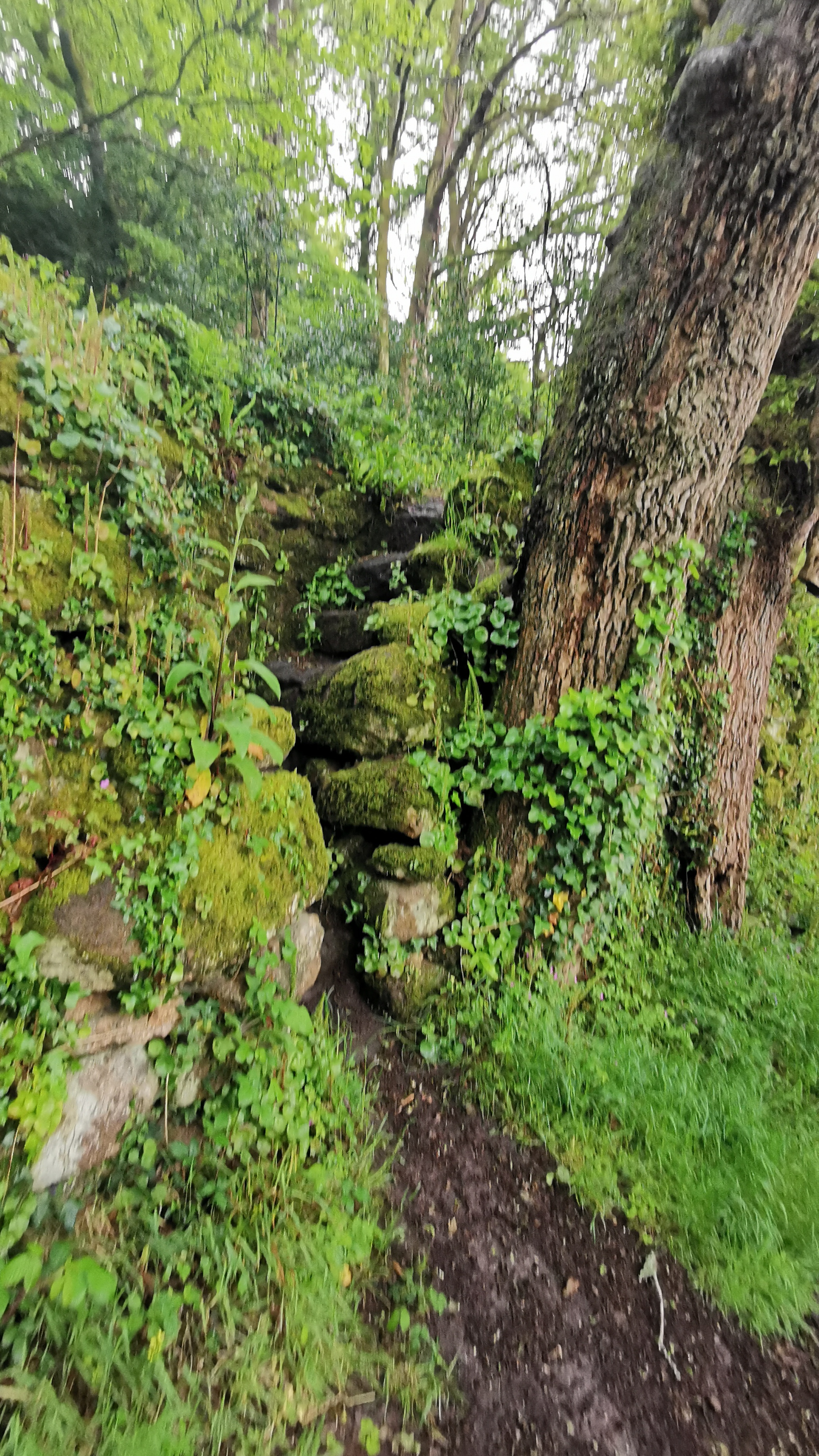 064-IMG_20210513_103552