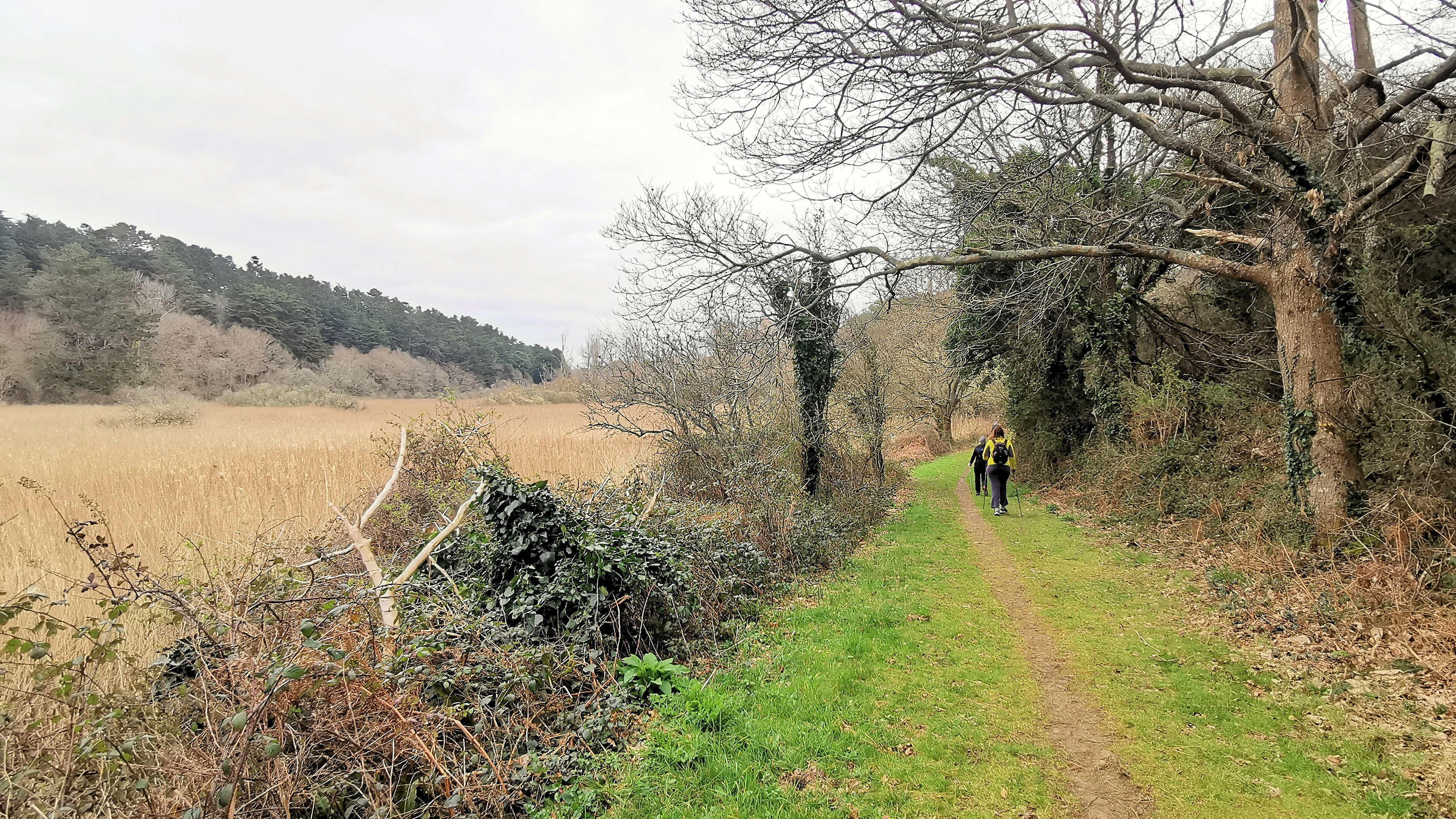 32-IMG_20210321_101436