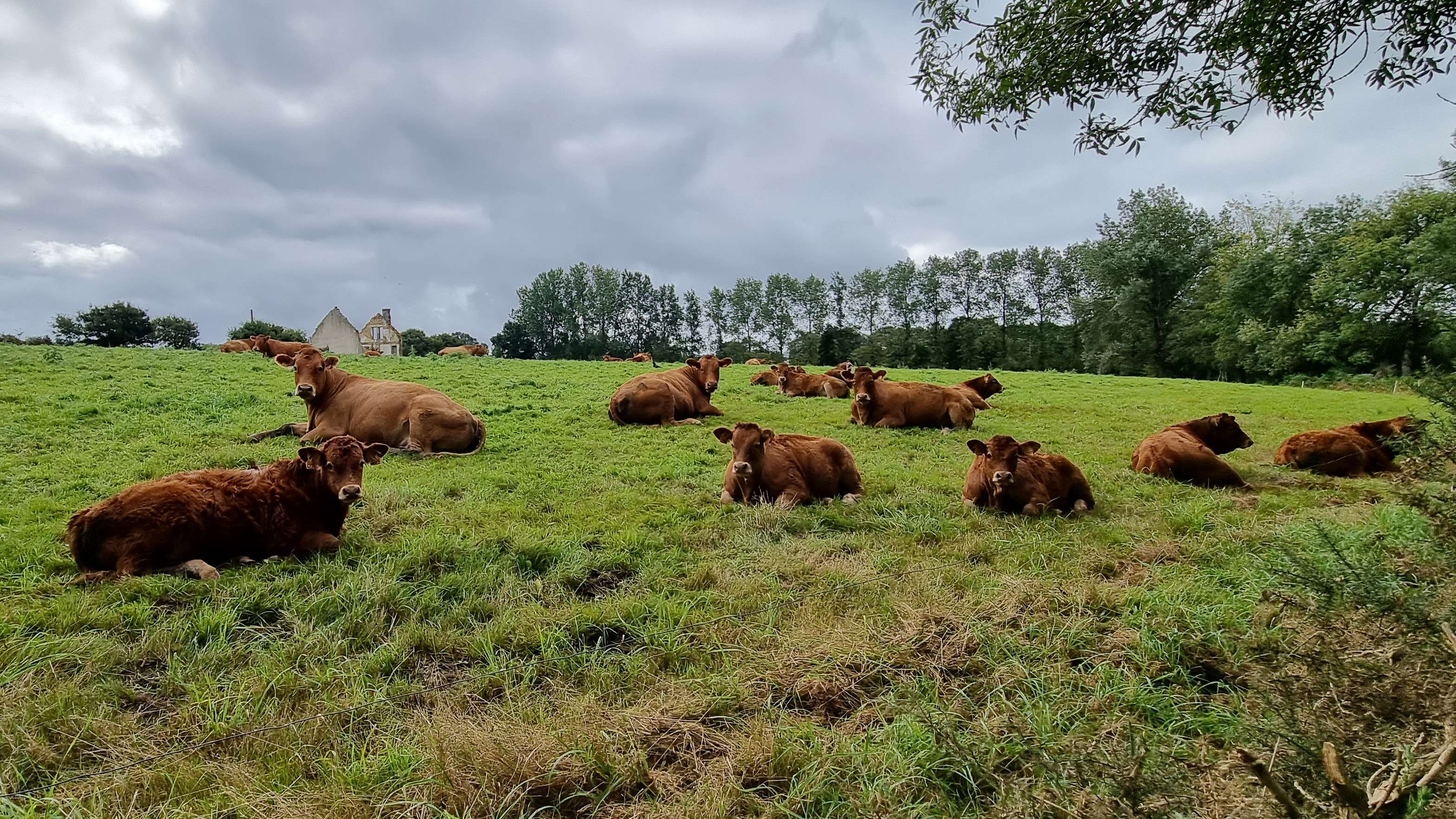 09-20210910_110425(0)