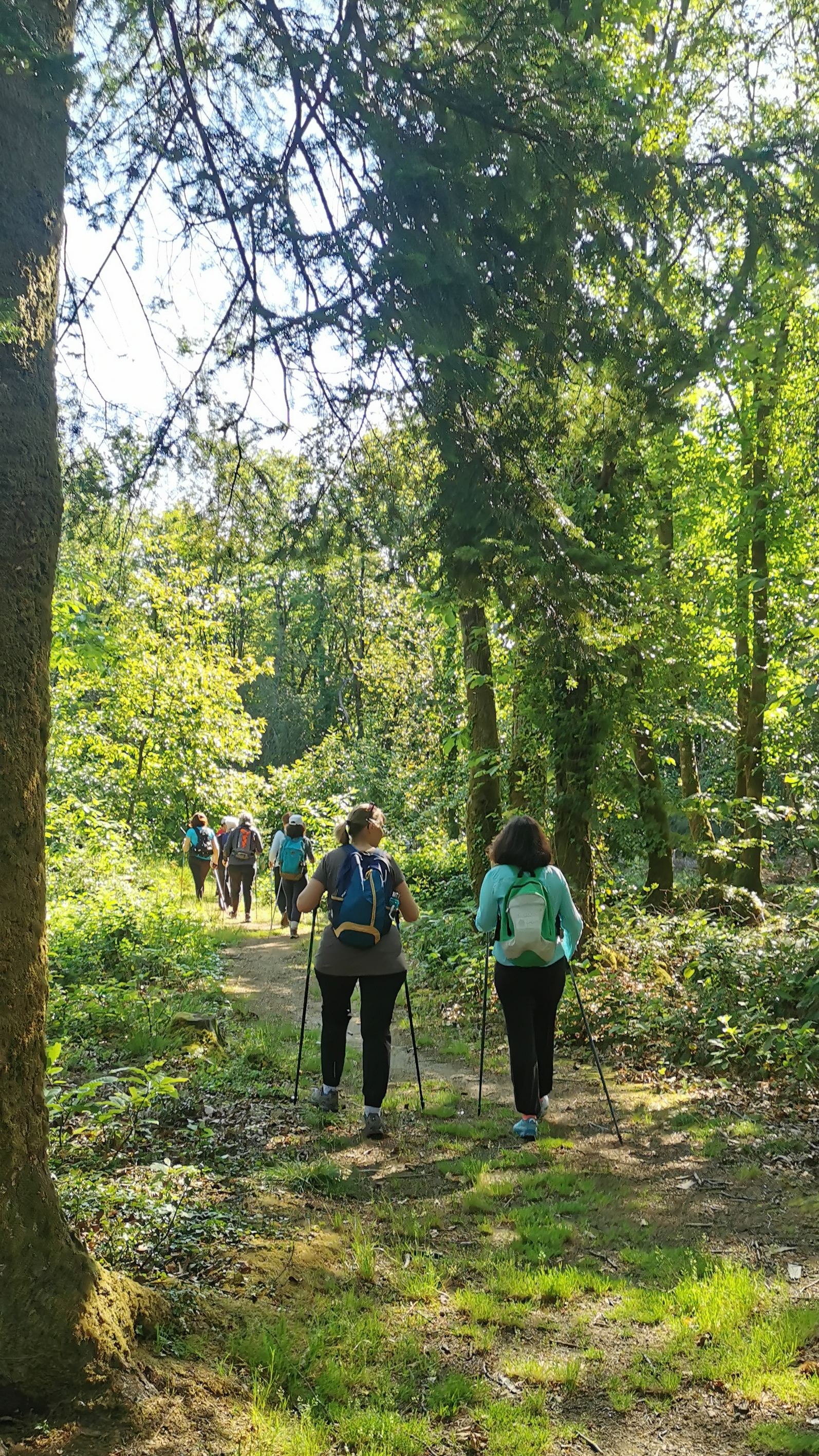 25-IMG_20210531_103900