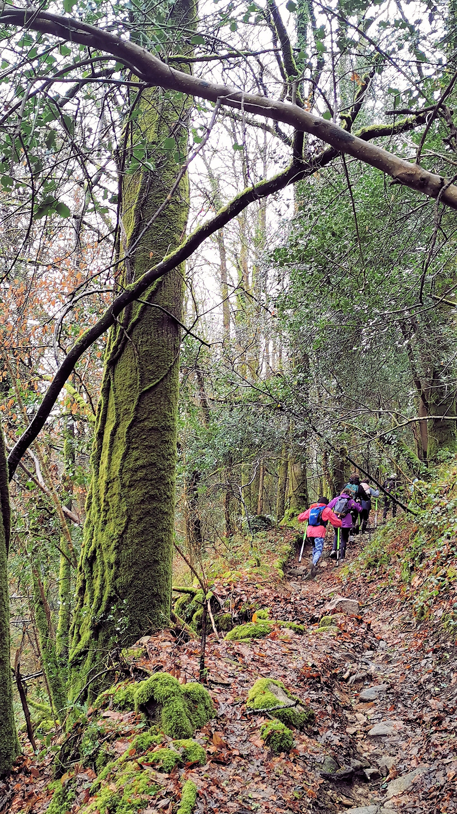 18-IMG_20210119_110503