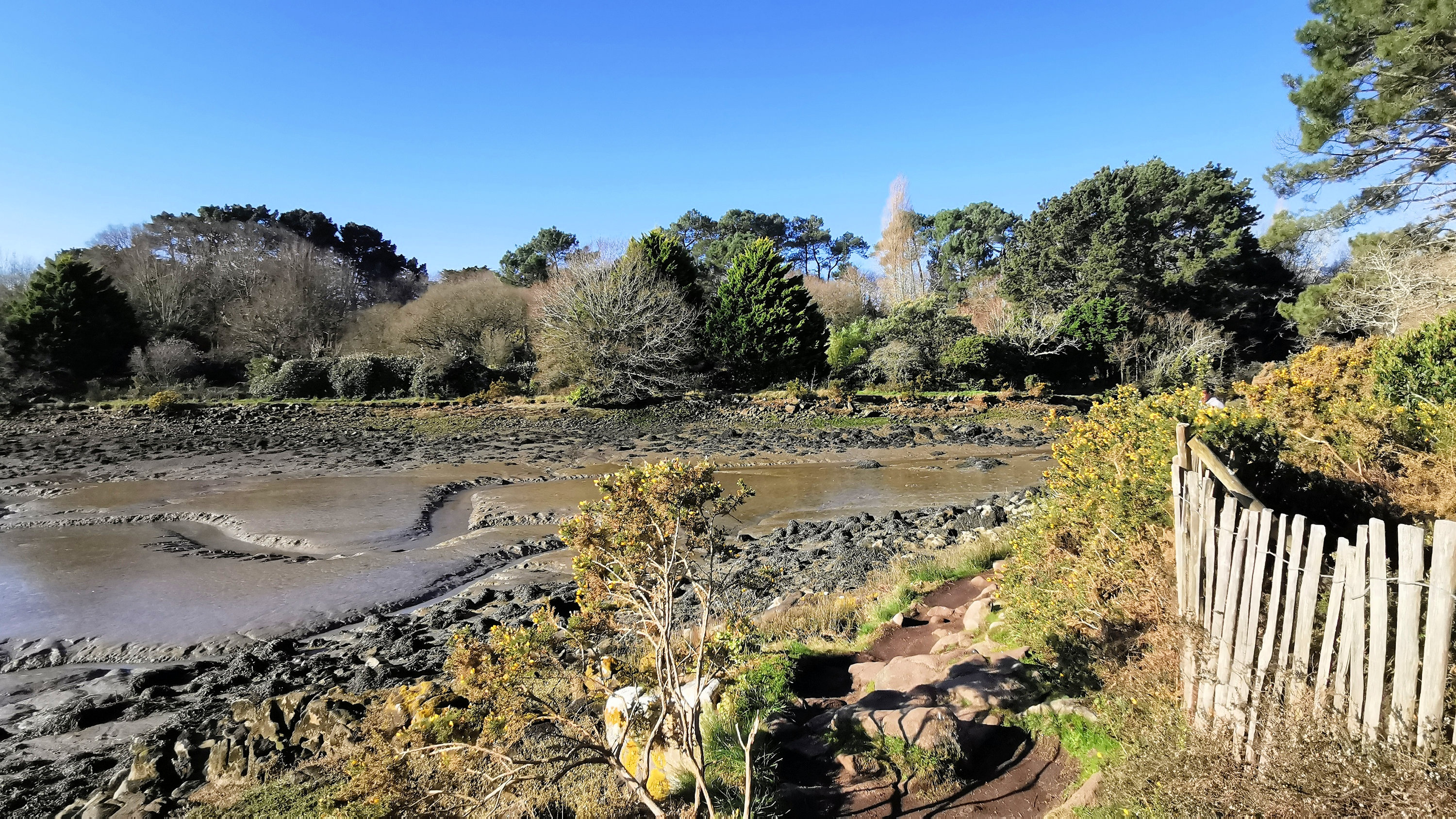 056-IMG_20210228_102955