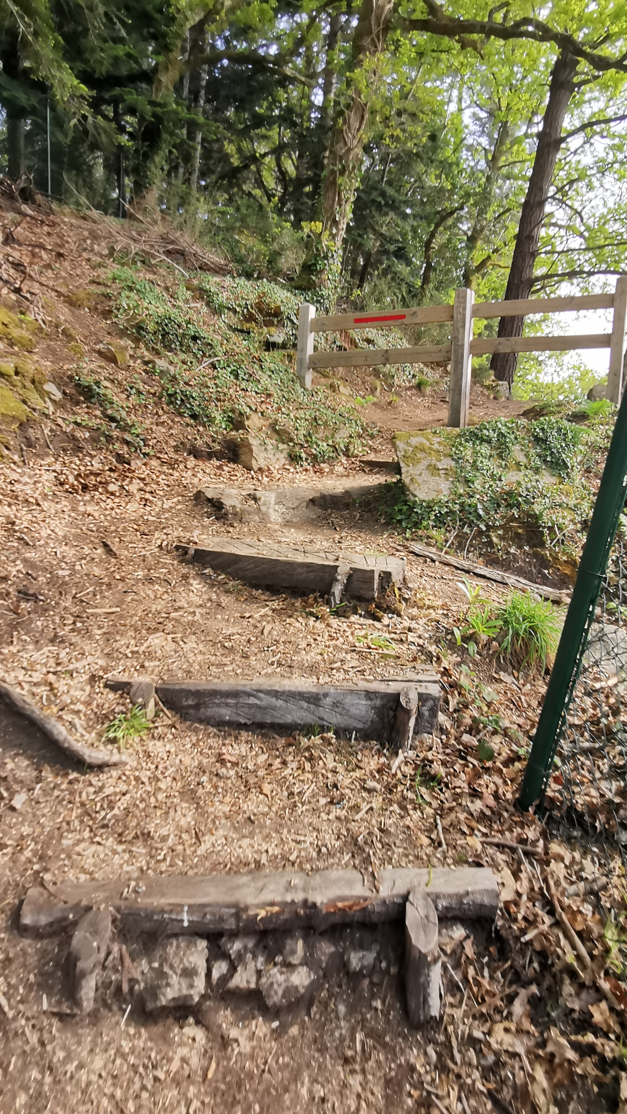 69-IMG_20210425_110753