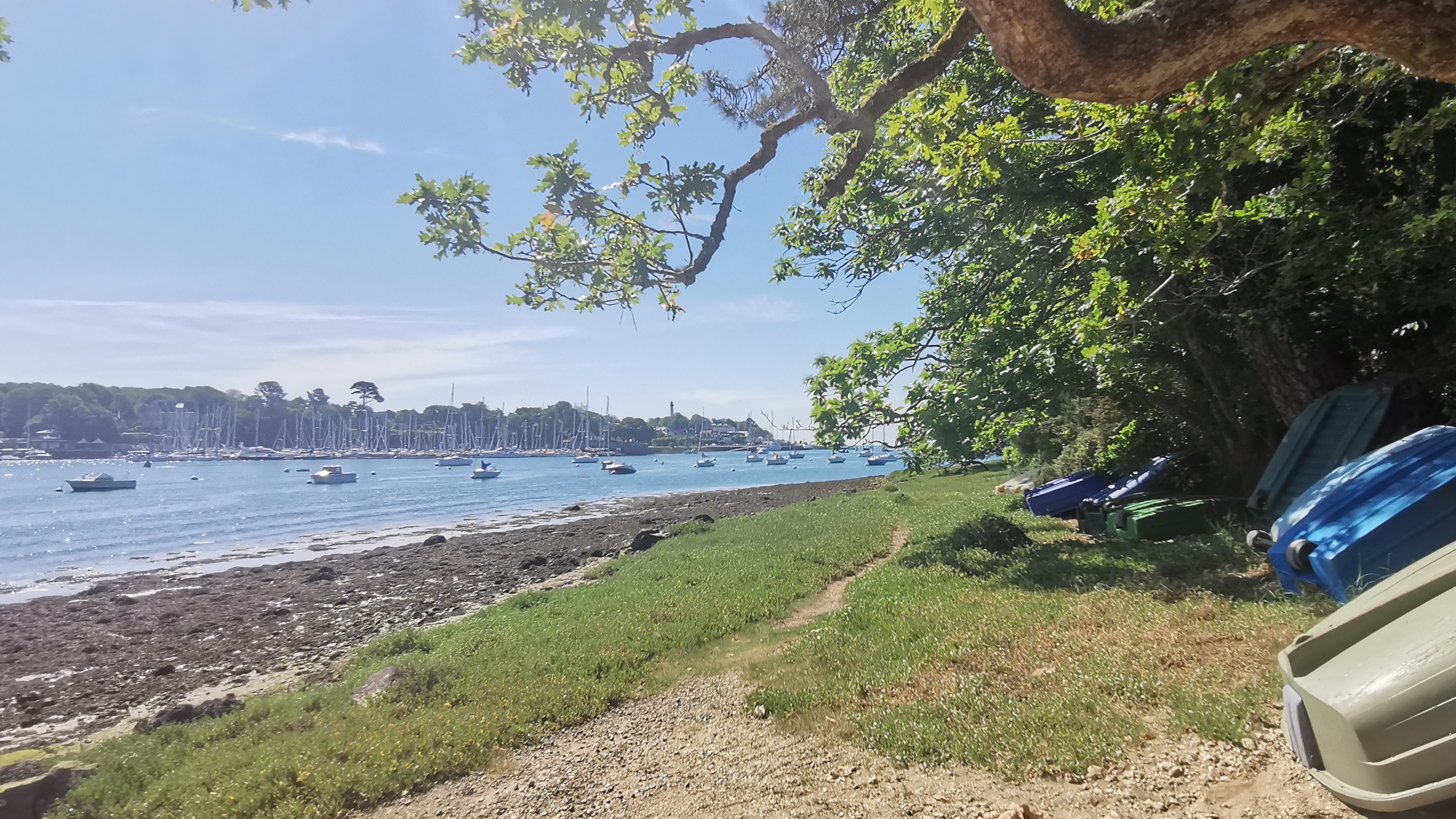 36-IMG_20210614_112524