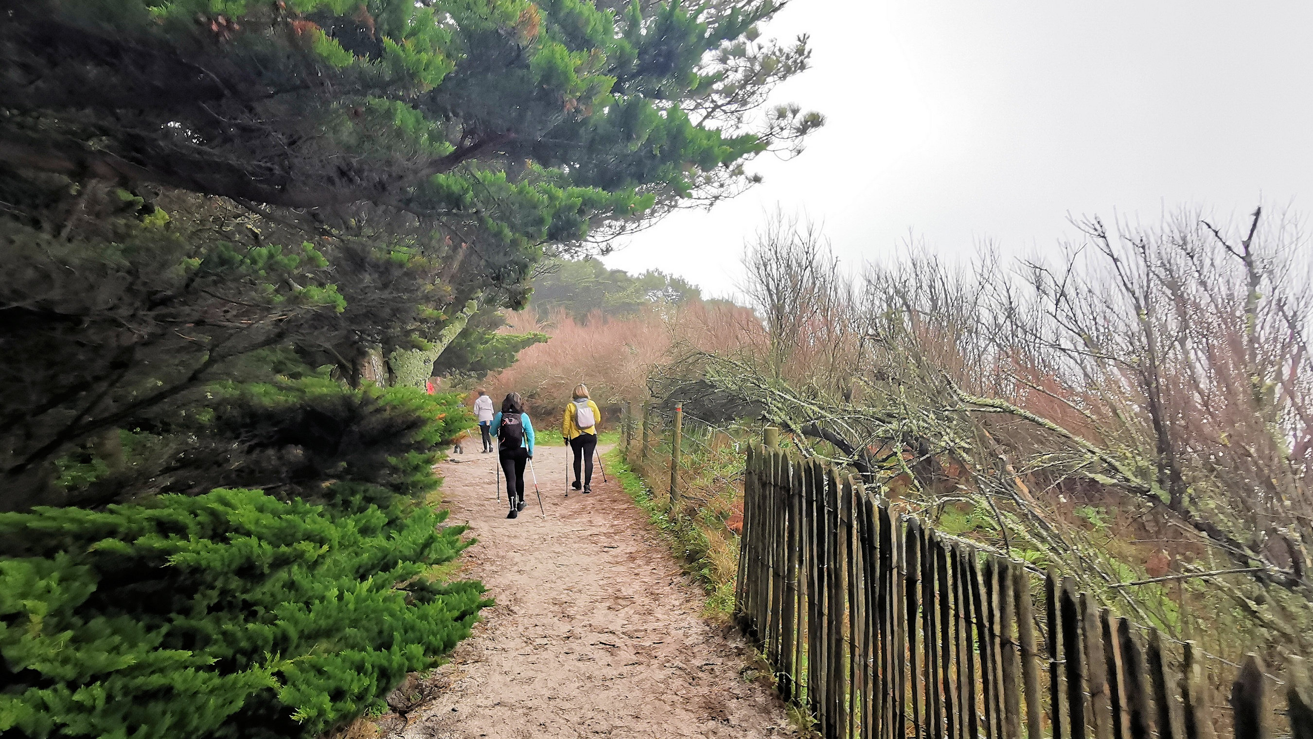 18-IMG_20210221_104335