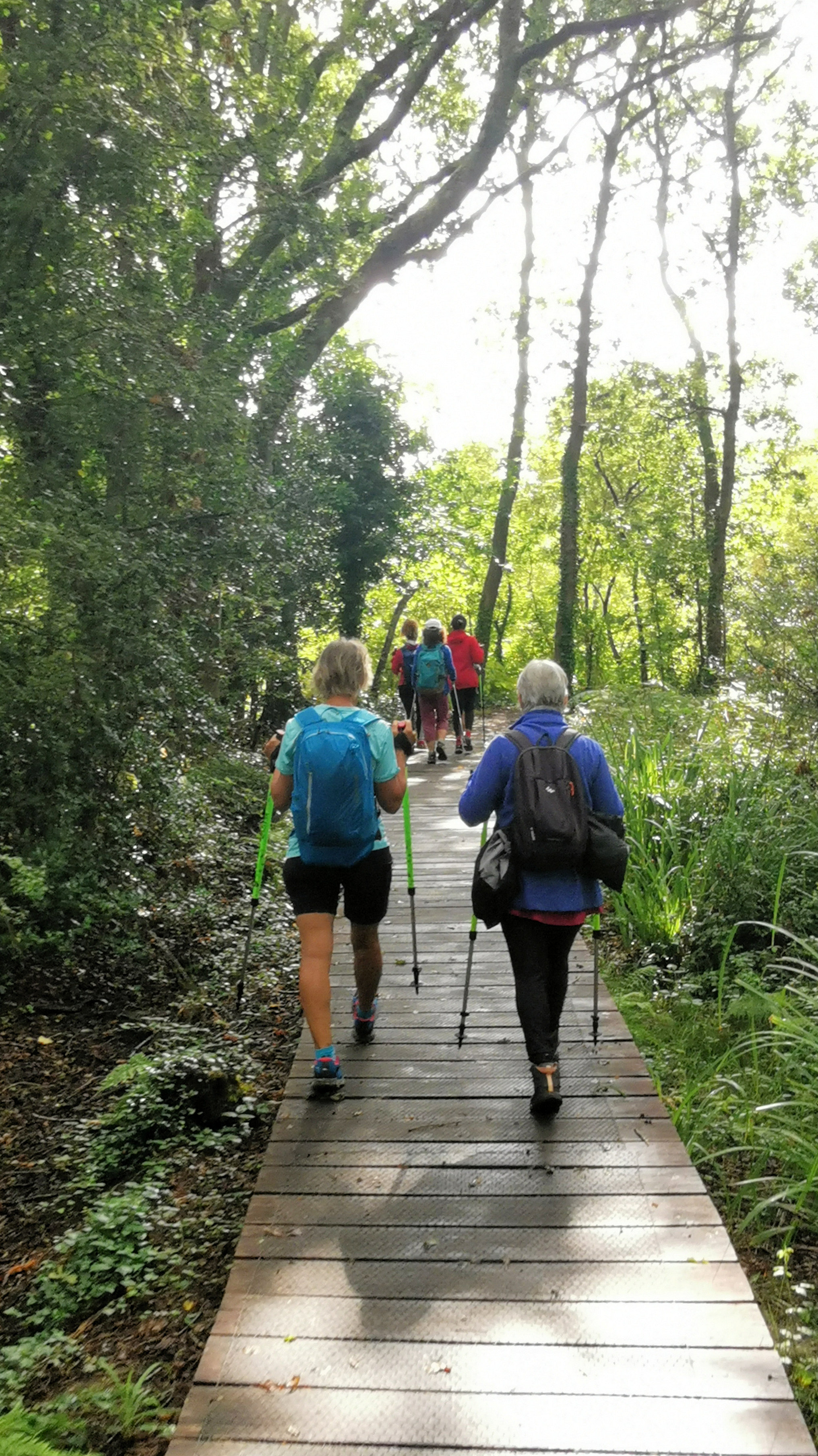 18-IMG_20210809_104933_1