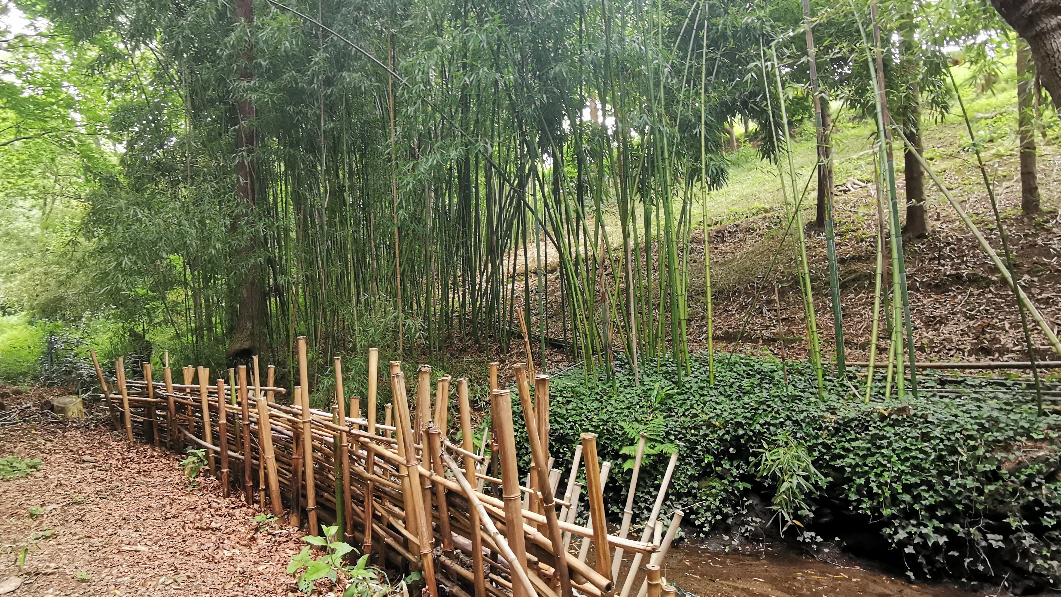 104-IMG_20210606_113721