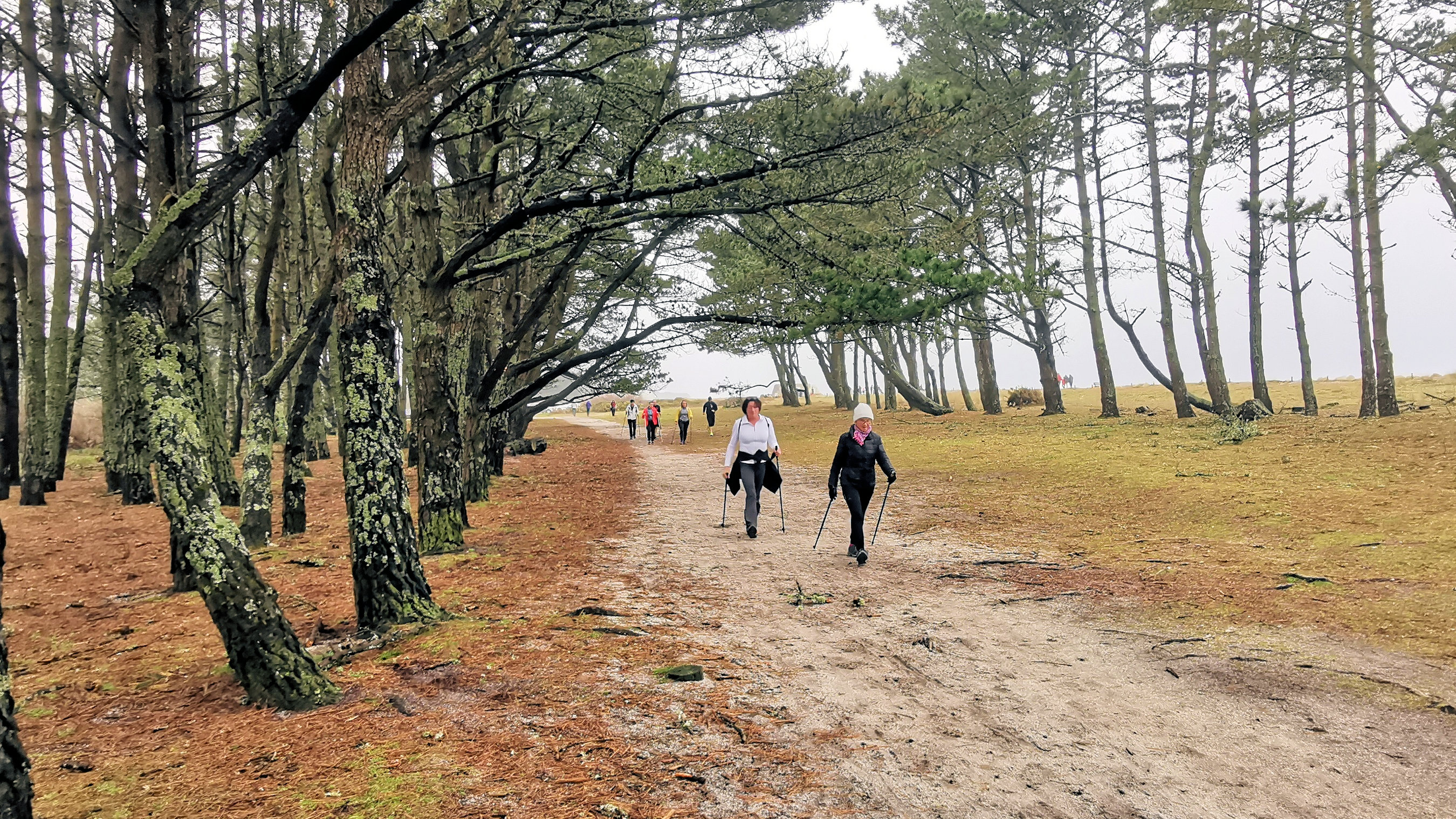 51-IMG_20210221_114144_1