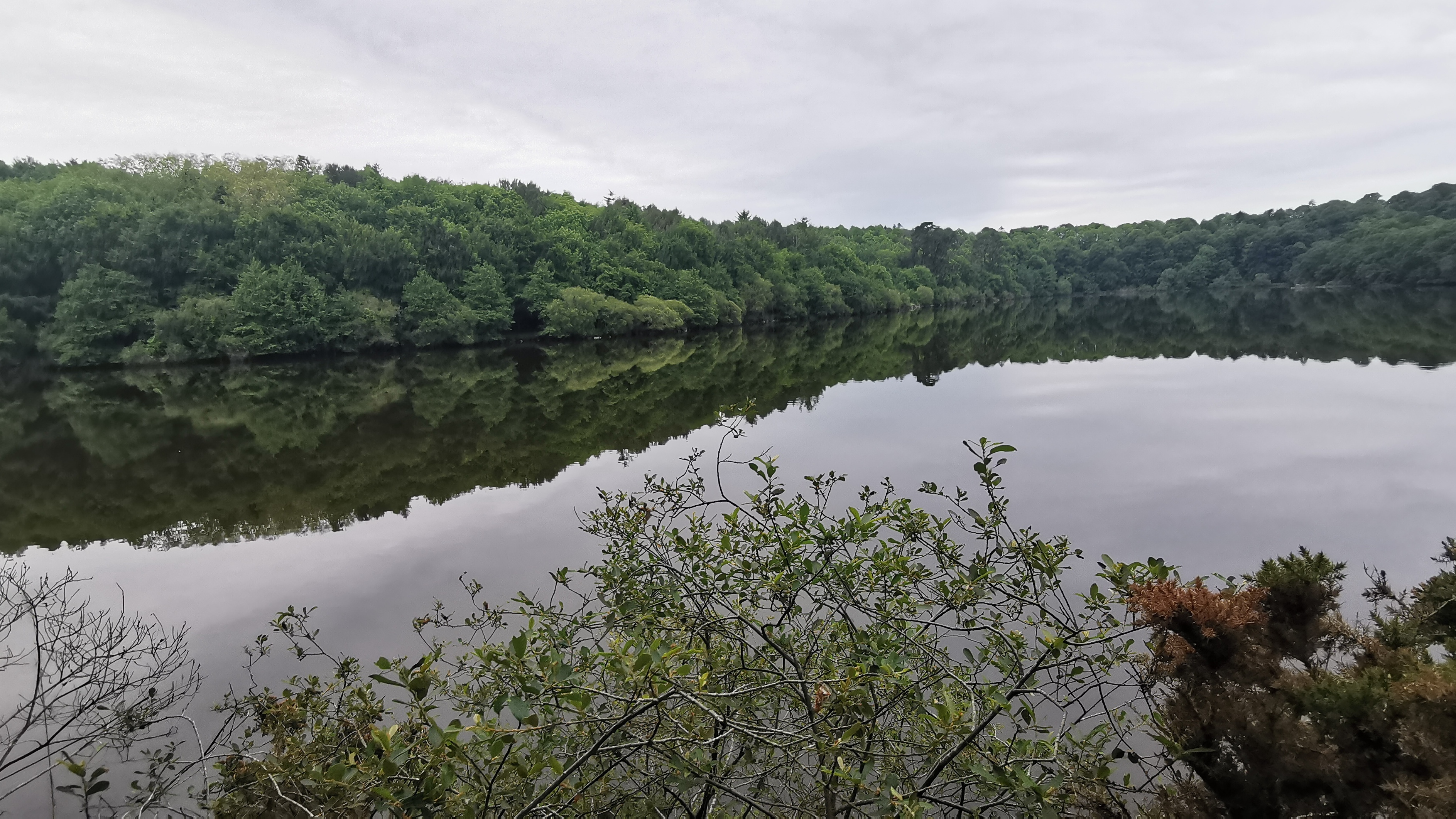 009-IMG_20210606_094029