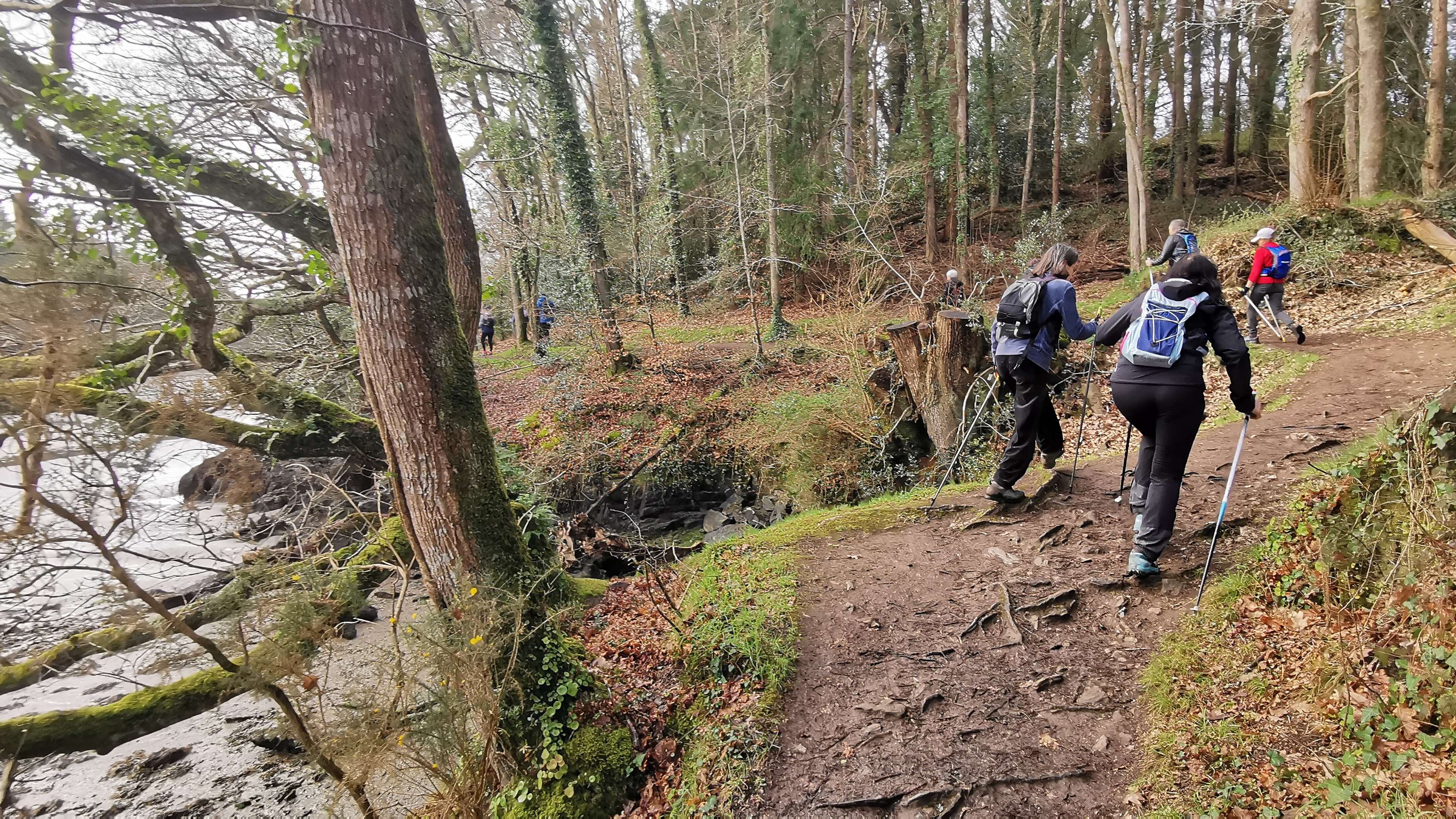 56-IMG_20210311_111622