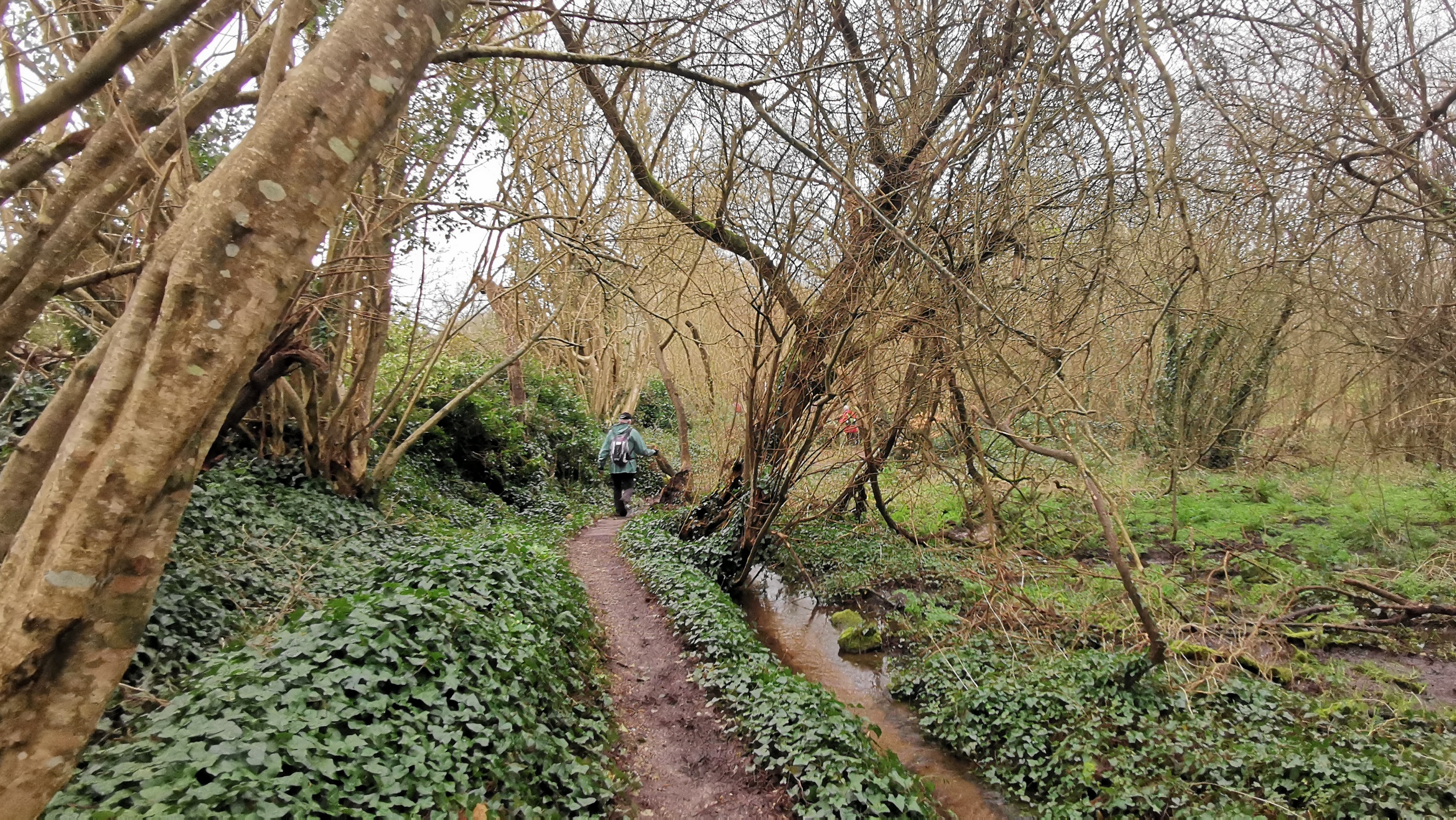 082-IMG_20210220_113440