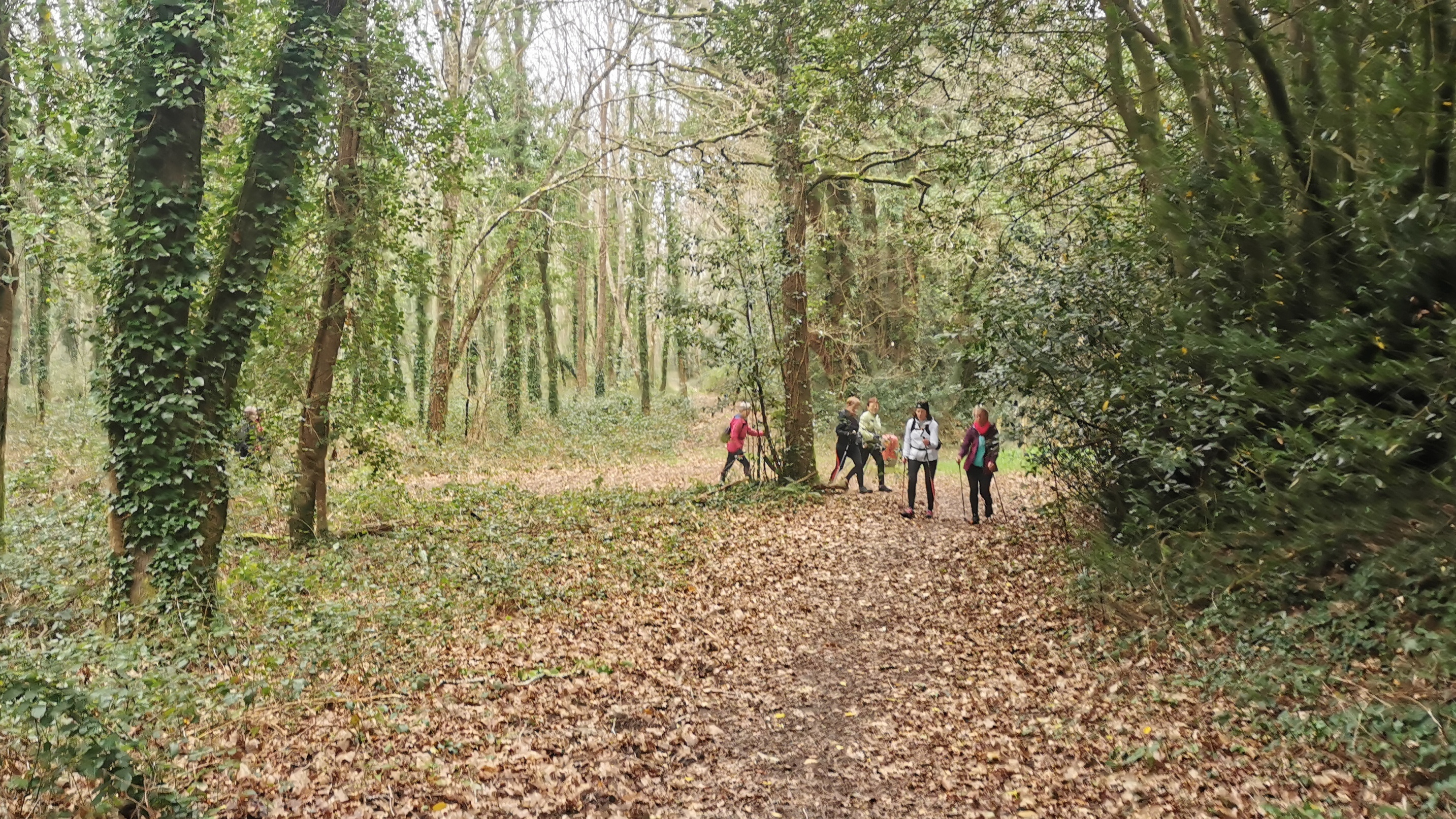 12-IMG_20210304_101239