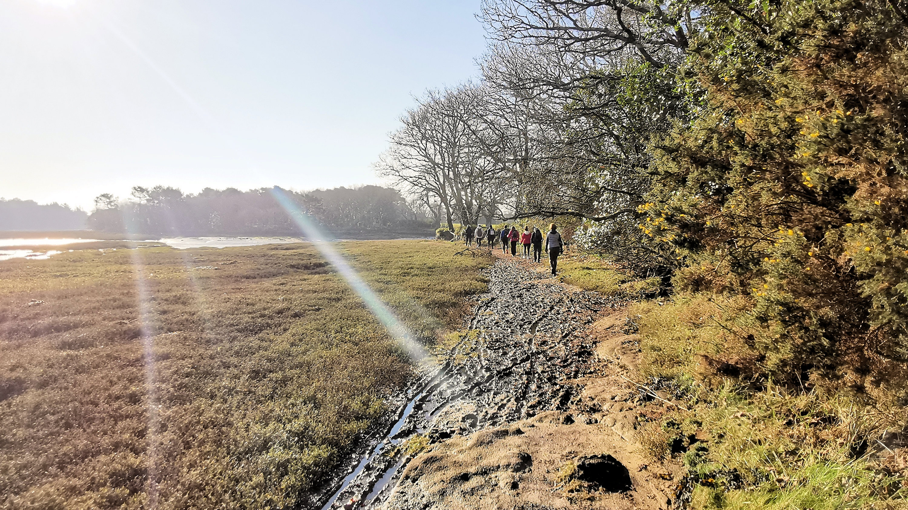 033-IMG_20210228_101109