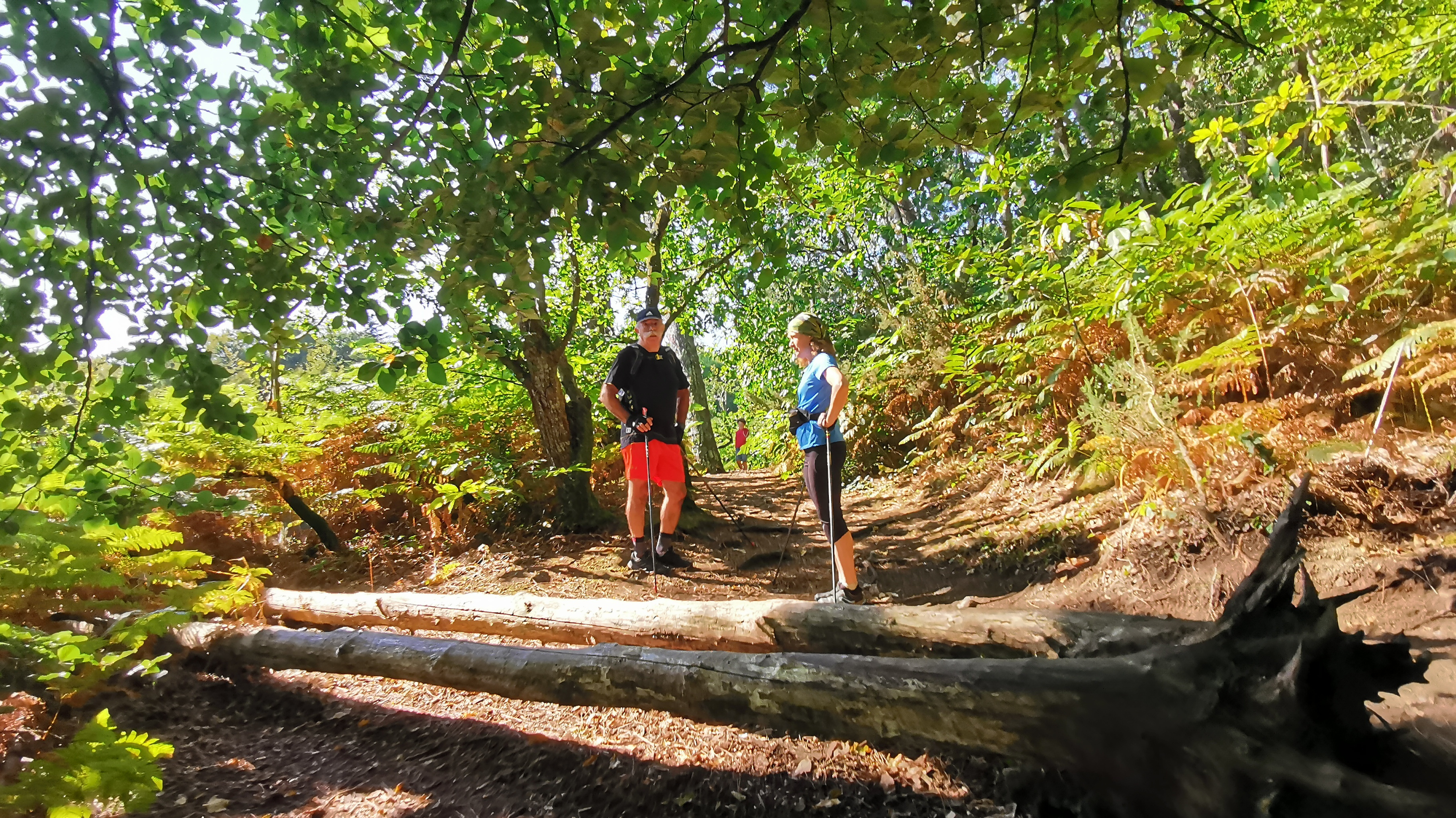 40-IMG_20210829_113300