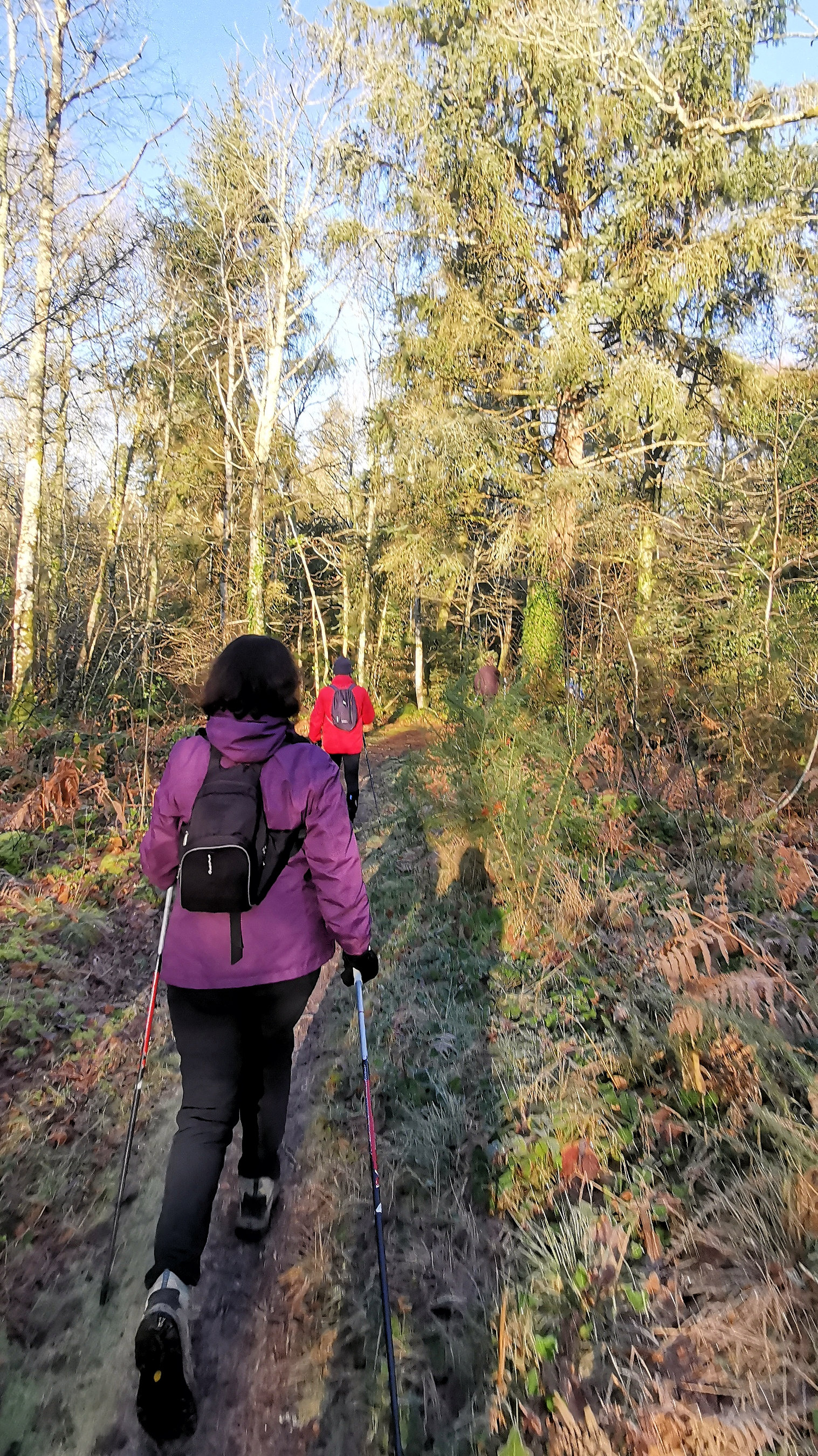 55-IMG_20210109_112442