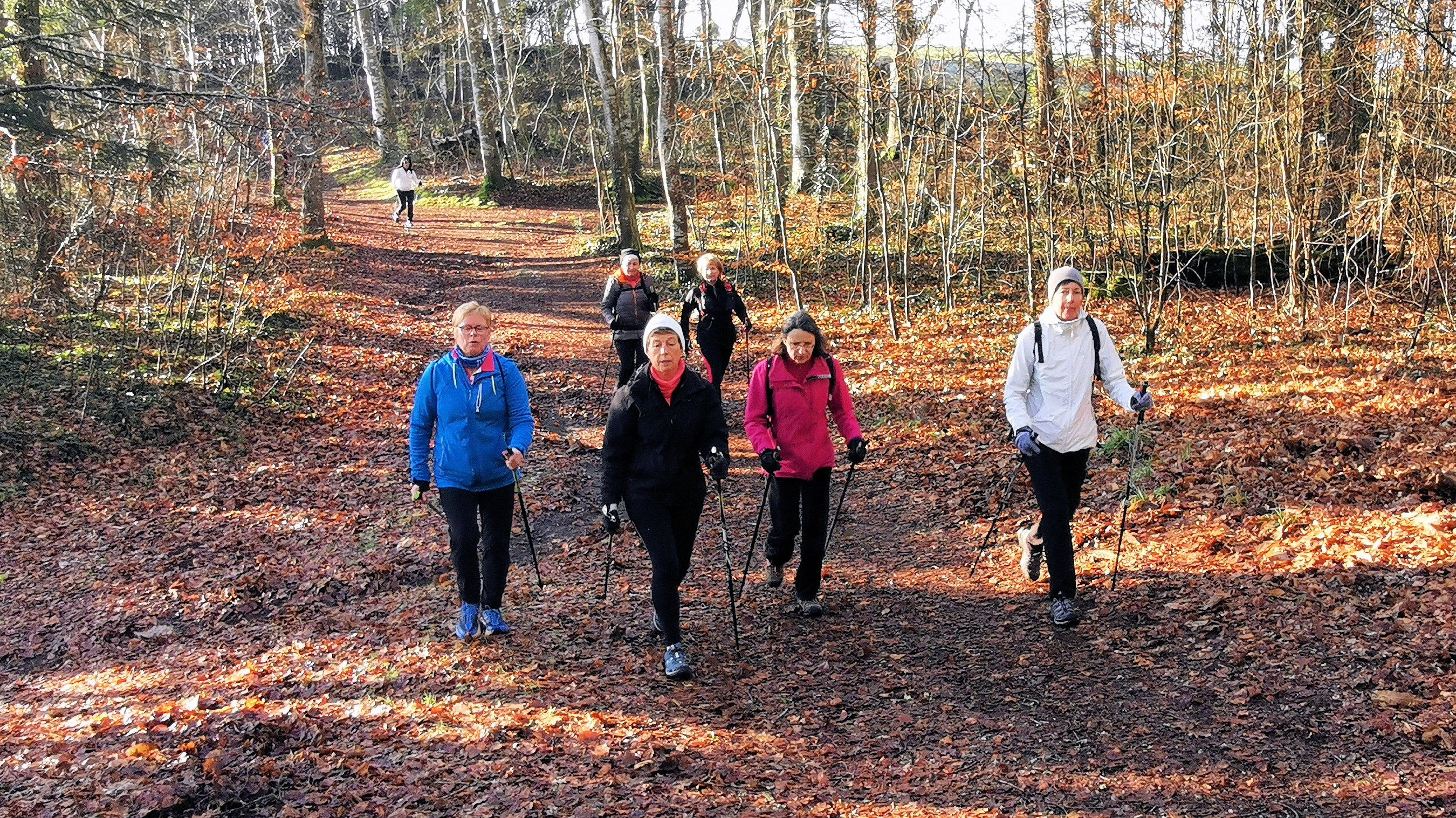 29-IMG_20210207_102250