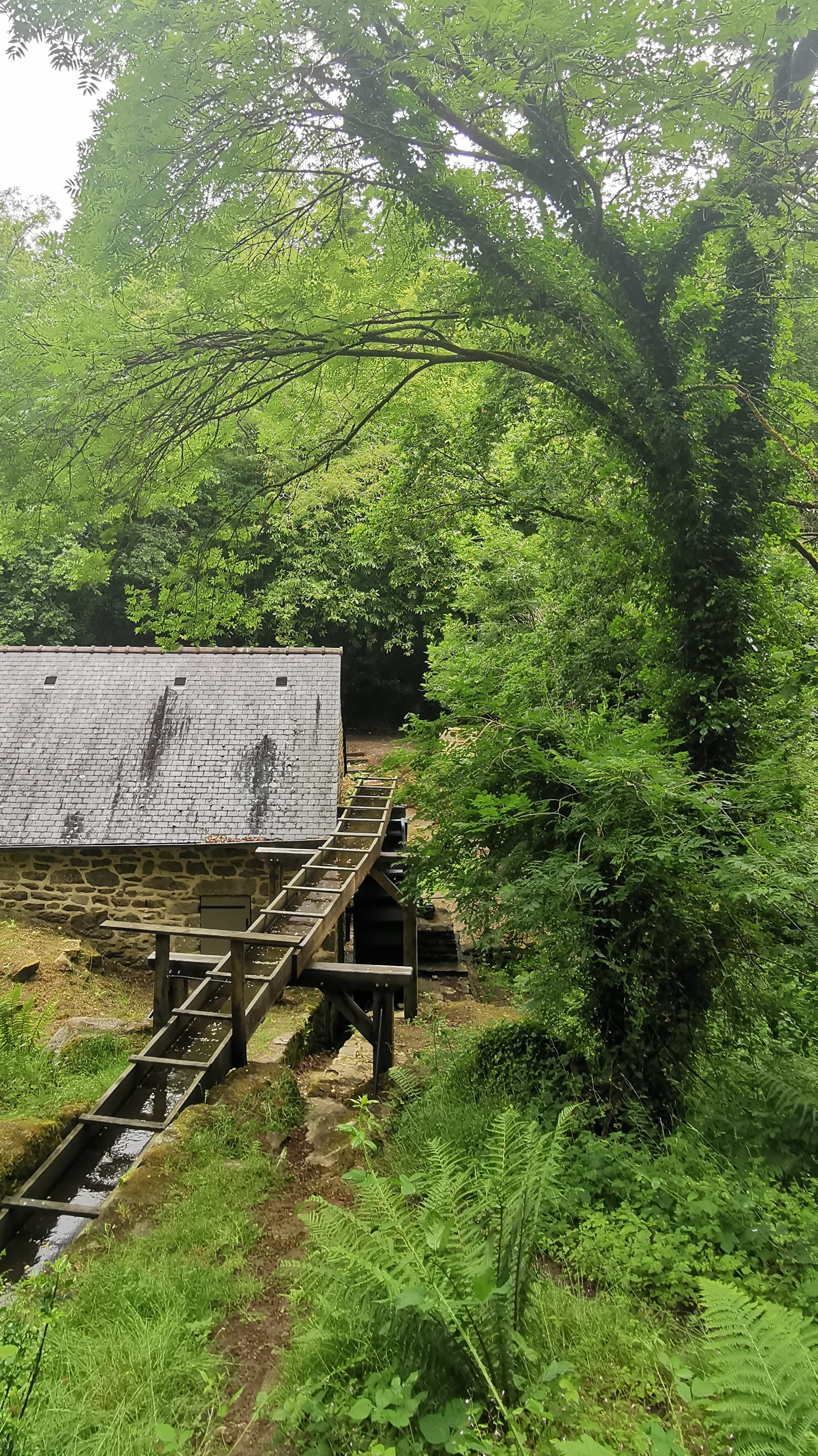 53-IMG_20210617_114020