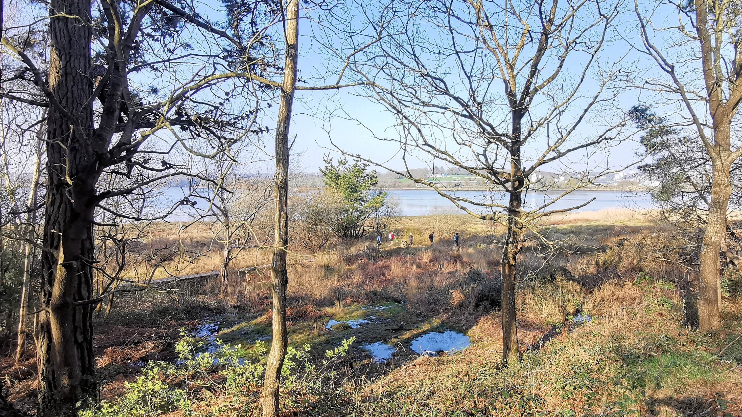 16-IMG_20210301_103208