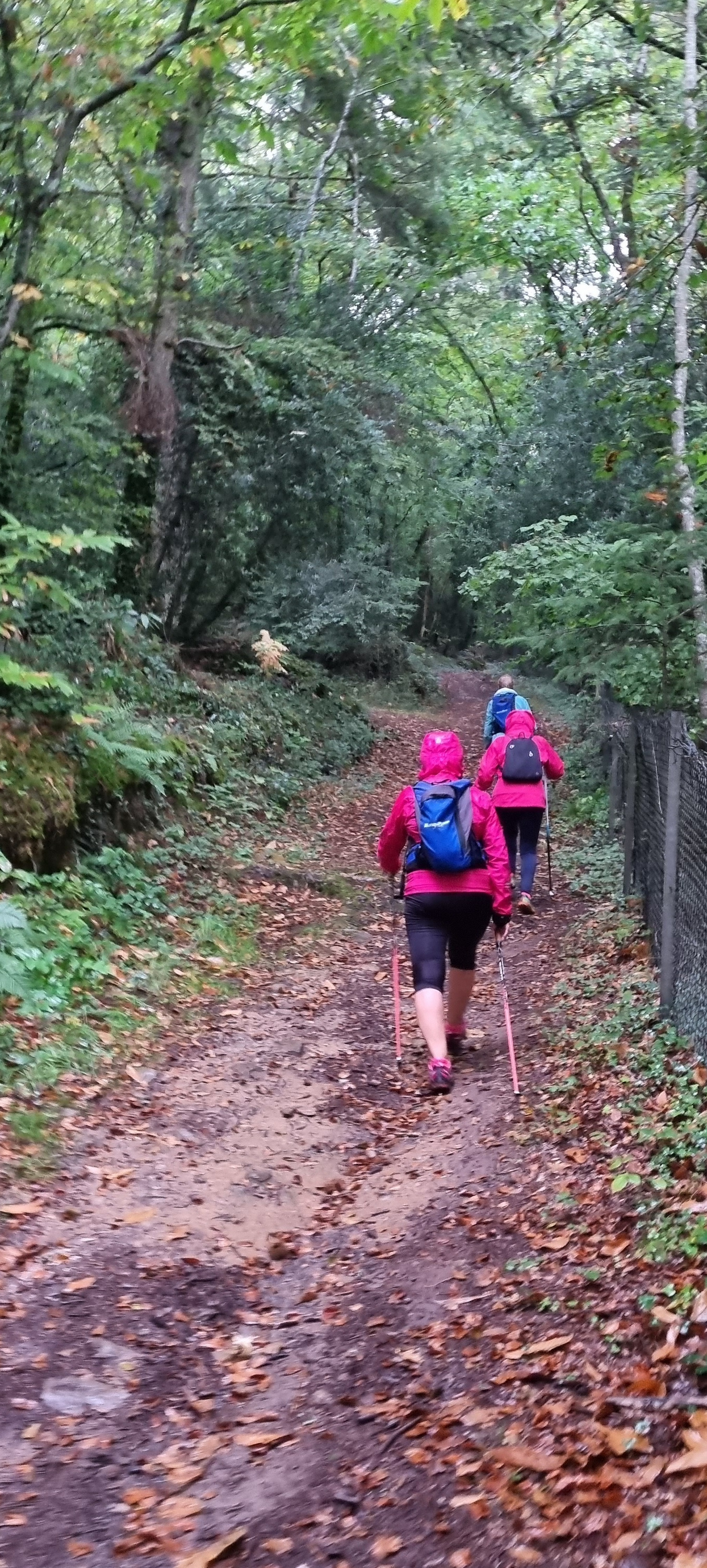 01-20211018_100109(0)