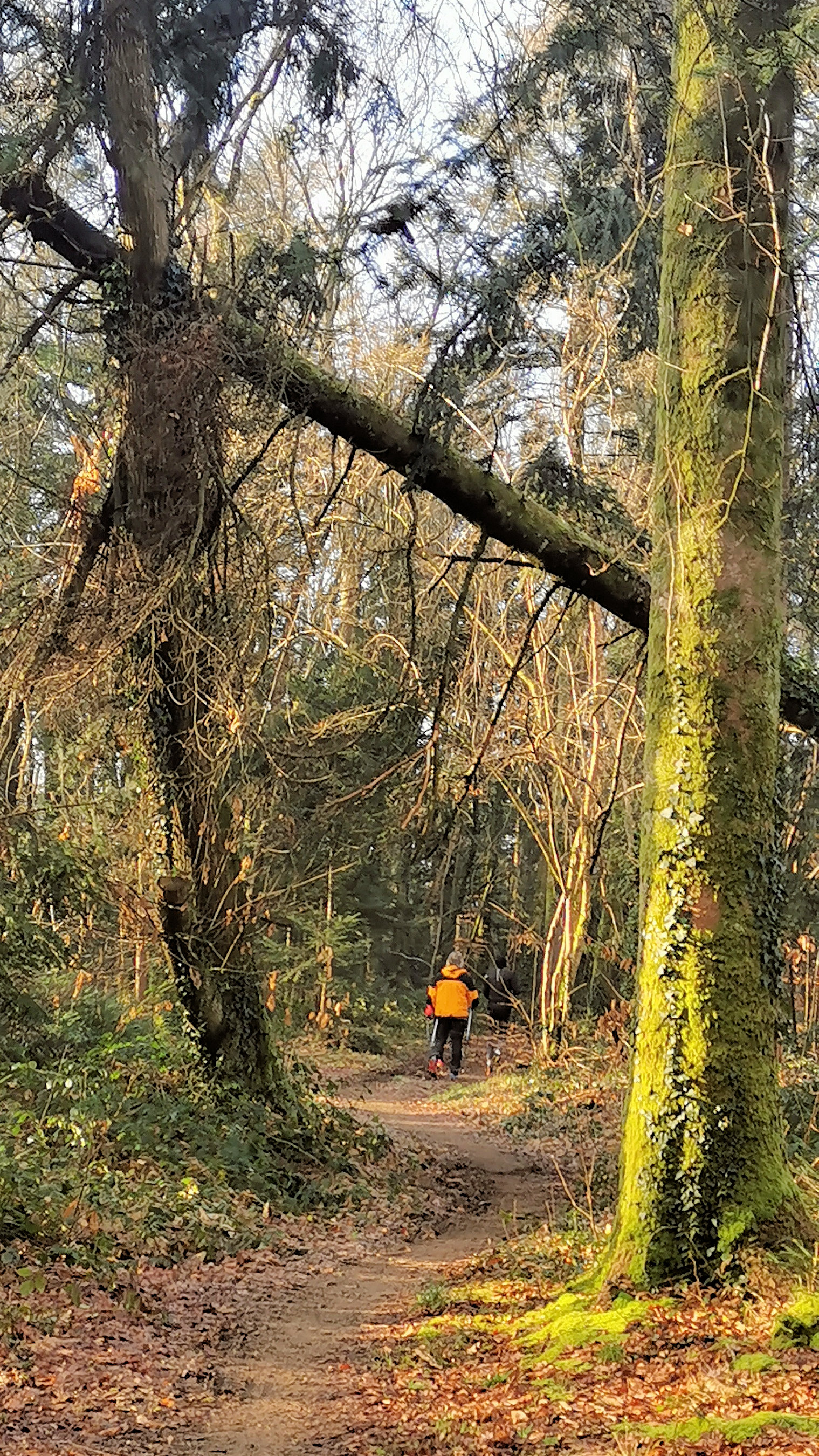 49-IMG_20210107_110543