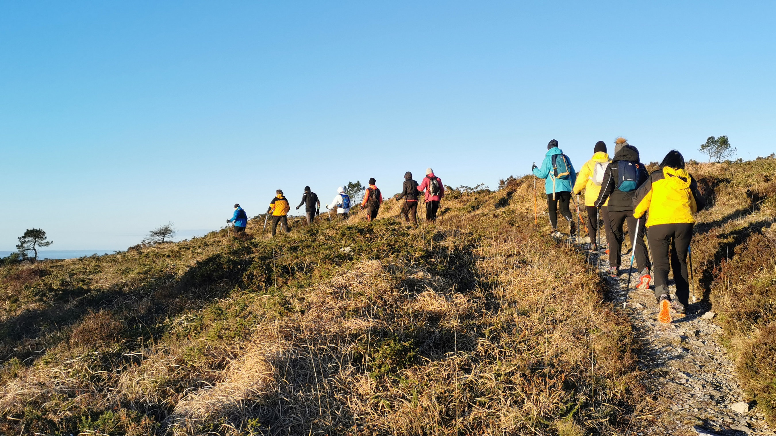 017-IMG_20210110_095542