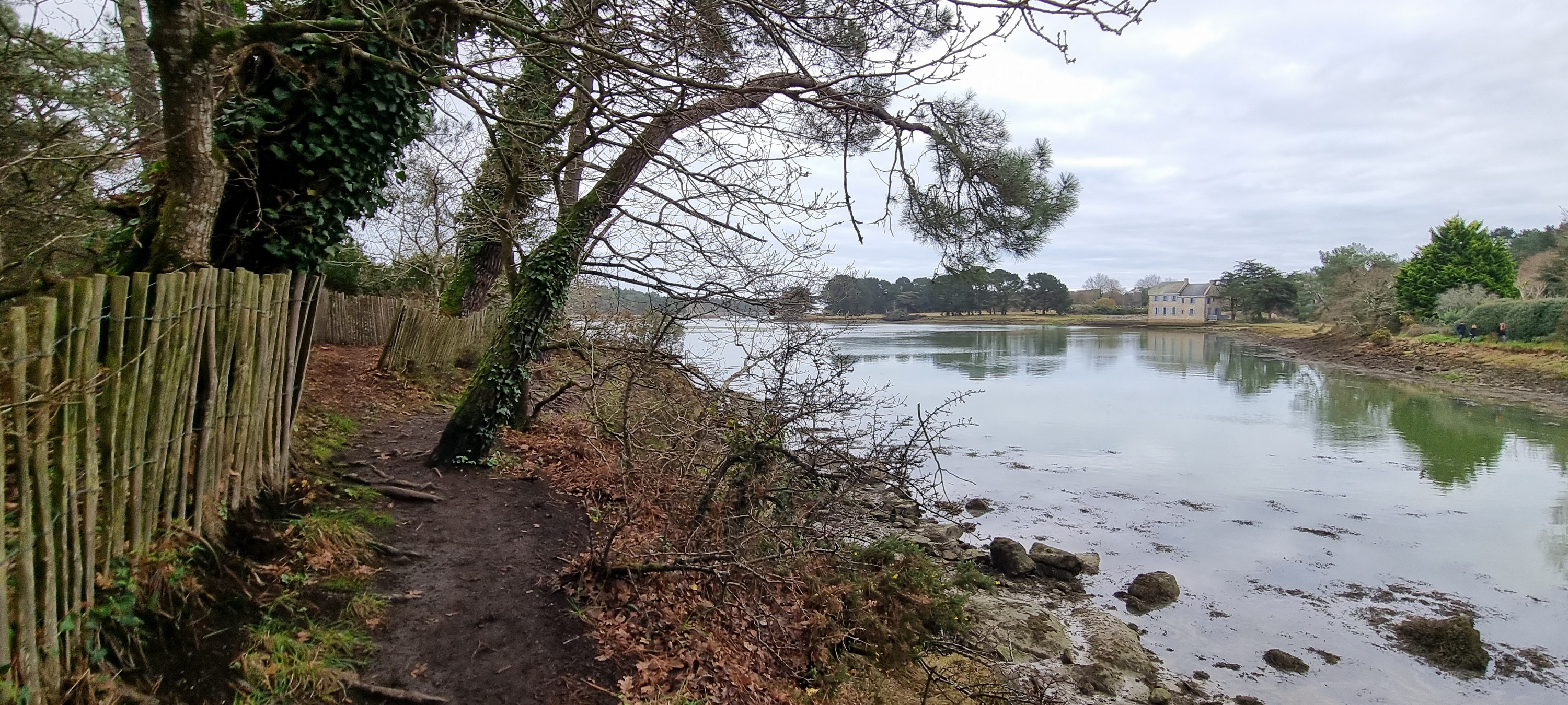 47-20211230_110829(0)