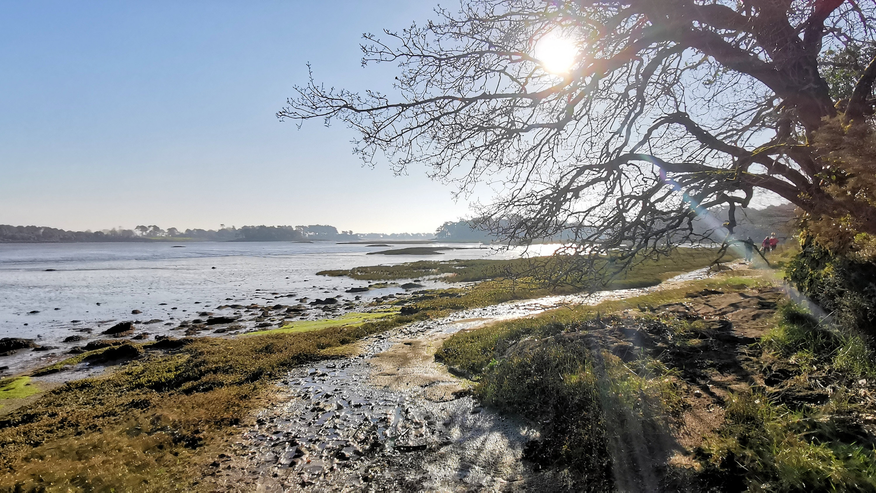 032-IMG_20210228_101042