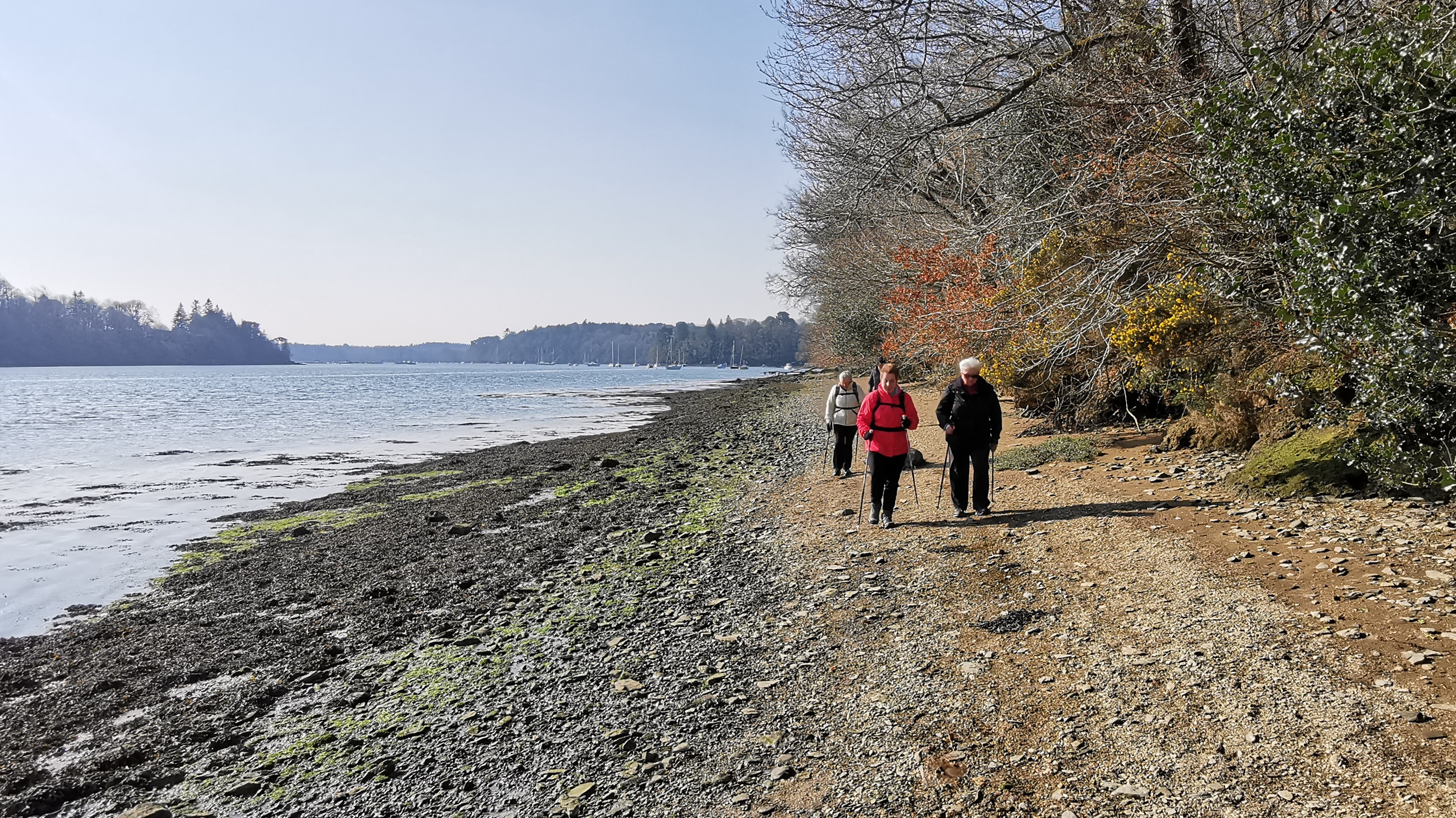 37-IMG_20210308_105301