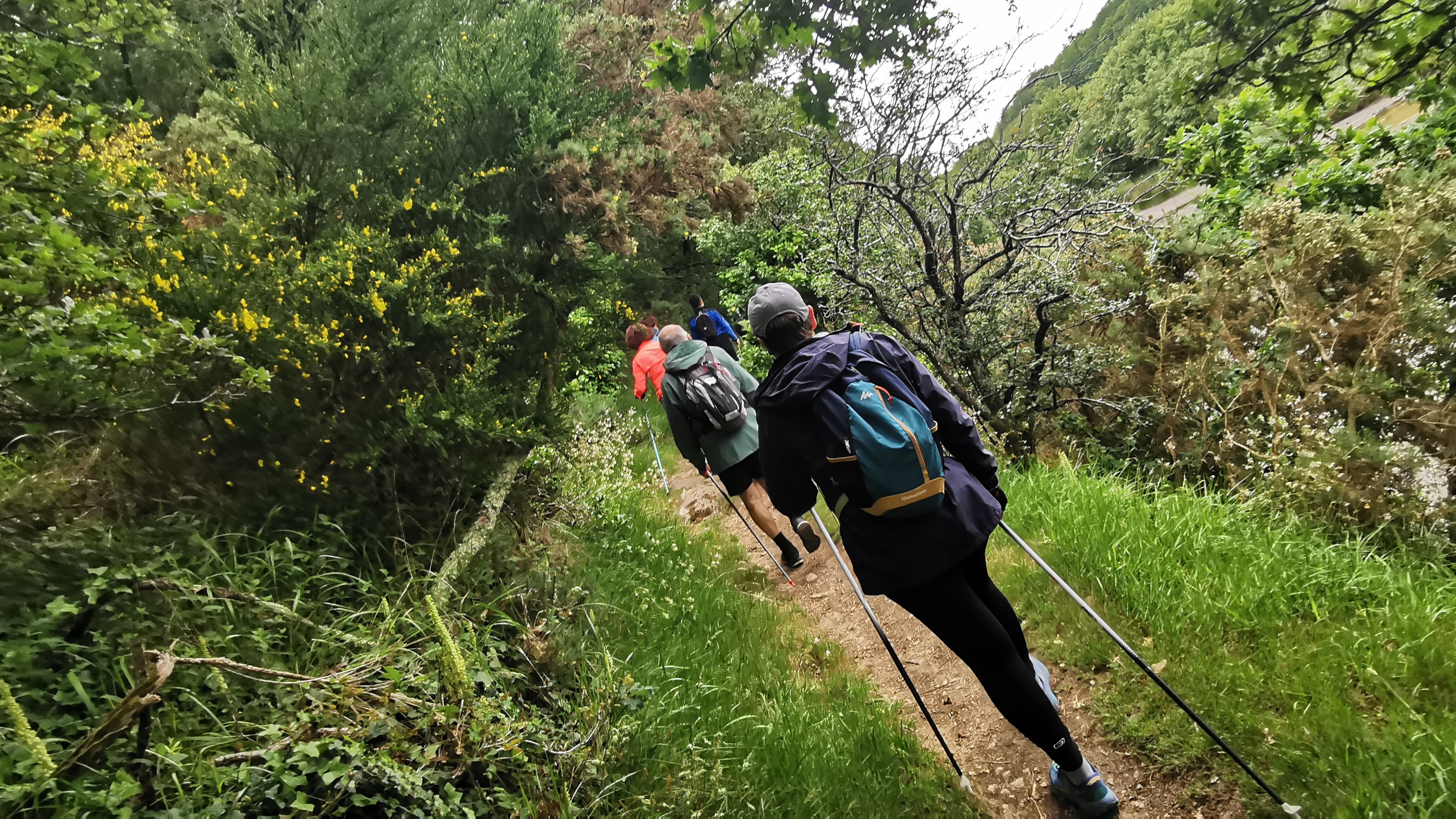 023-IMG_20210606_094859