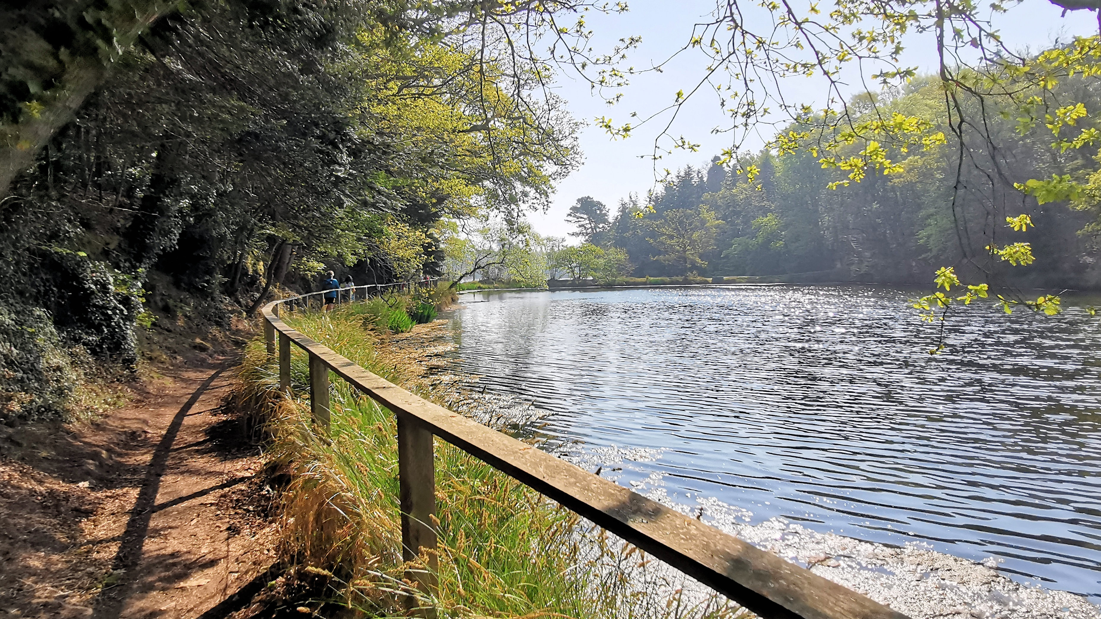 44-IMG_20210422_110935