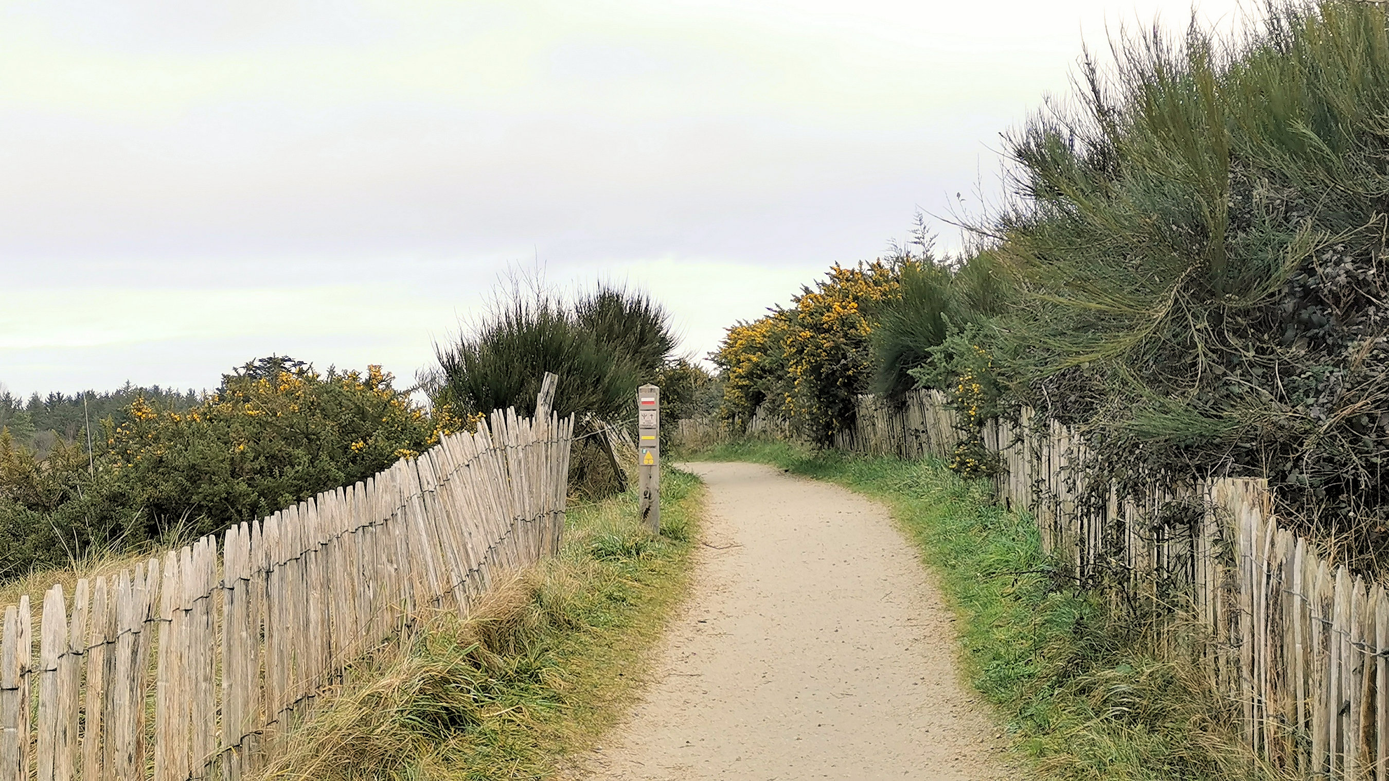 19-IMG_20210118_110014