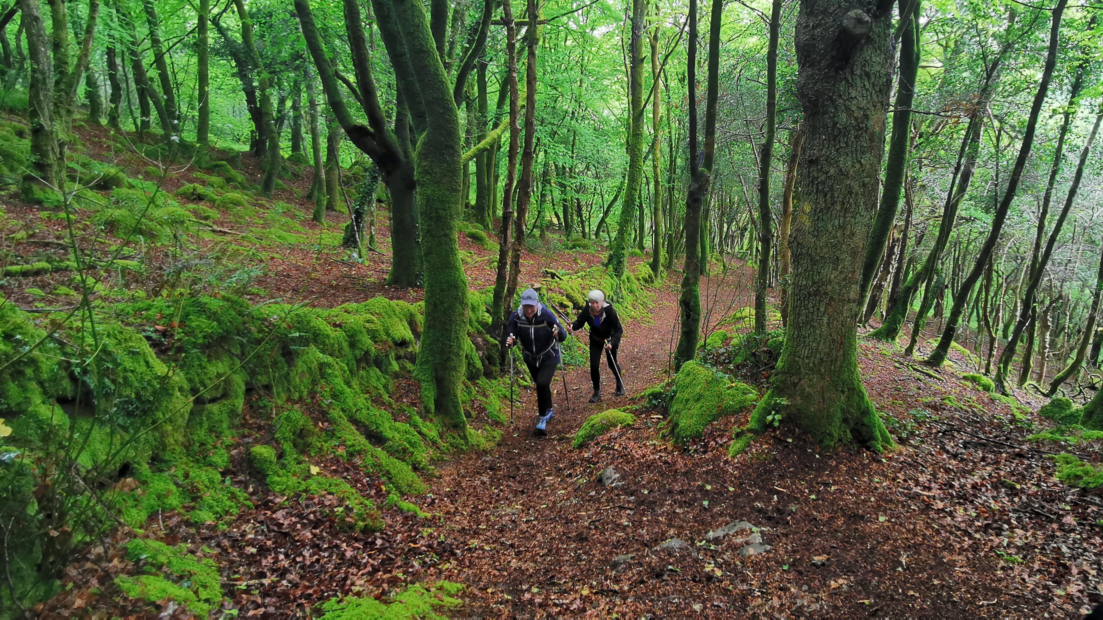 082-IMG_20210513_105505