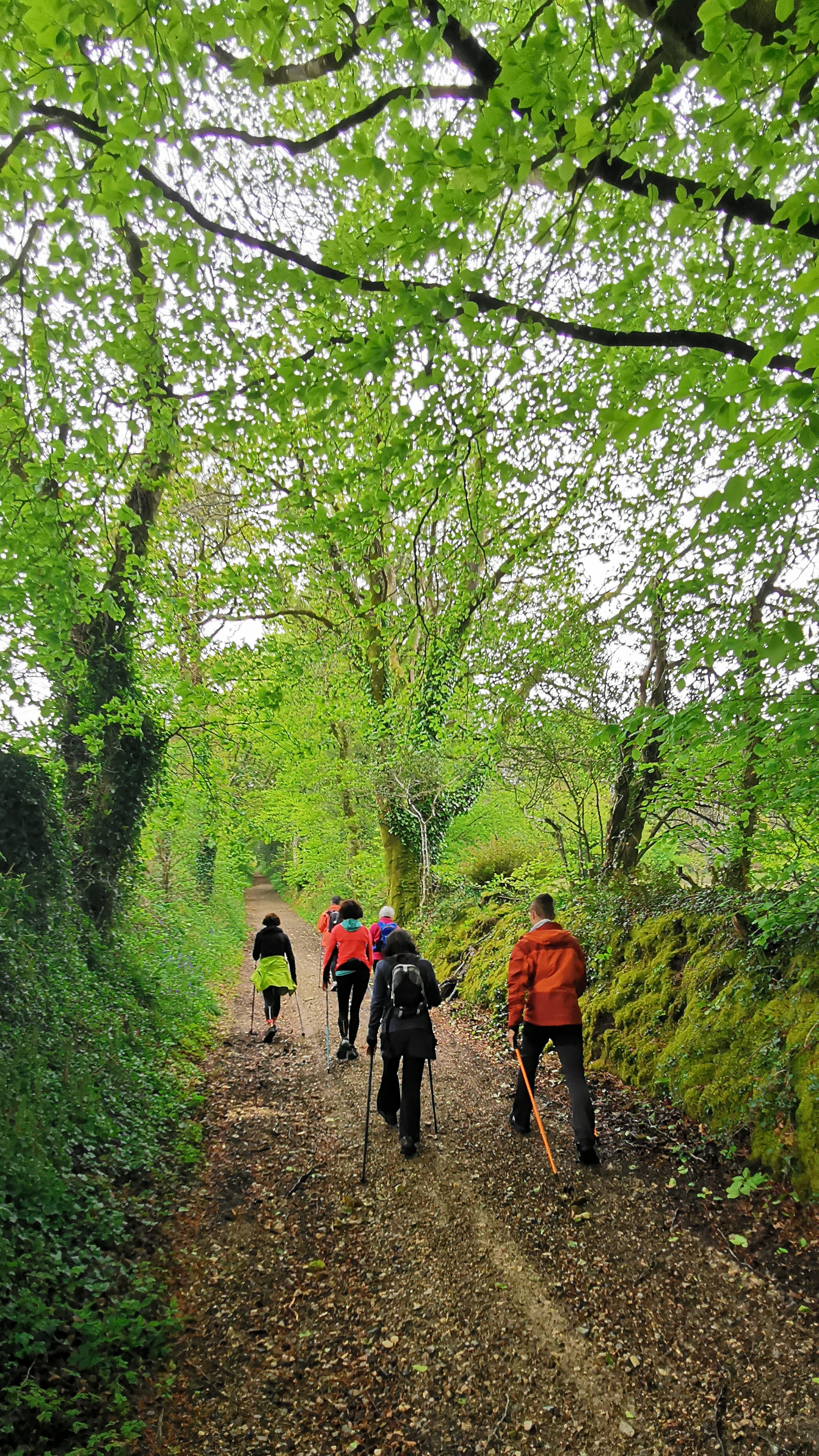 57-IMG_20210508_111943