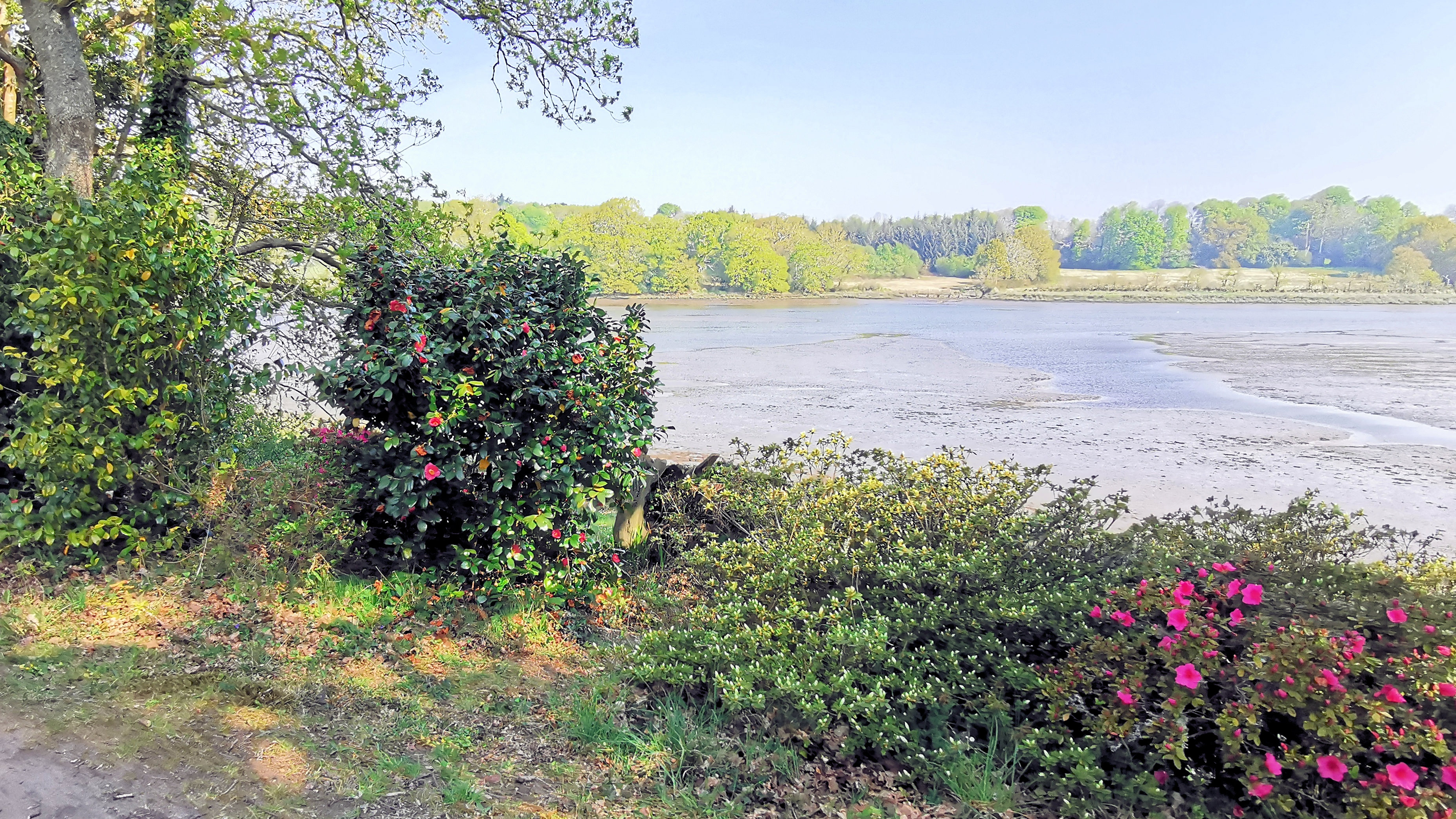 67-IMG_20210422_112659