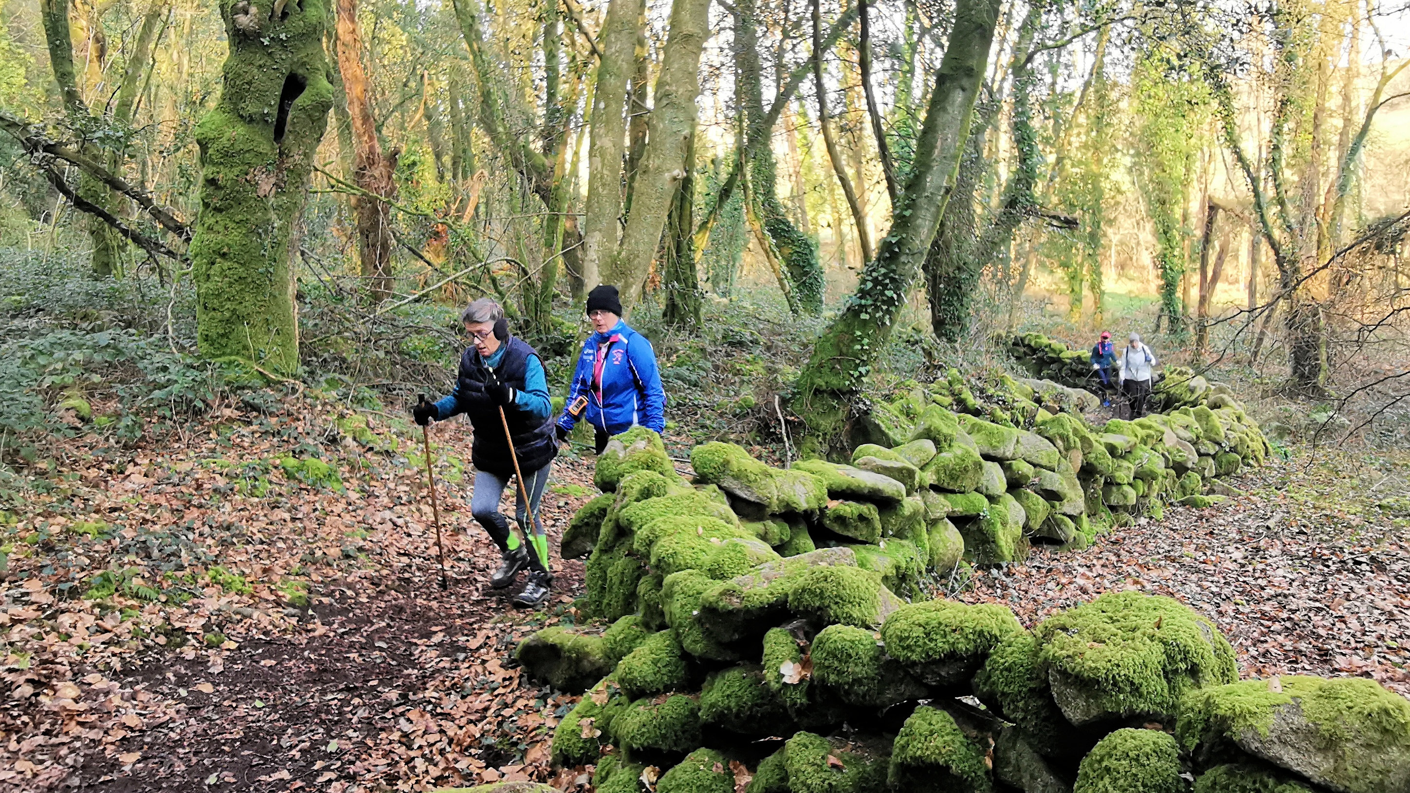 20-IMG_20210307_100949_1