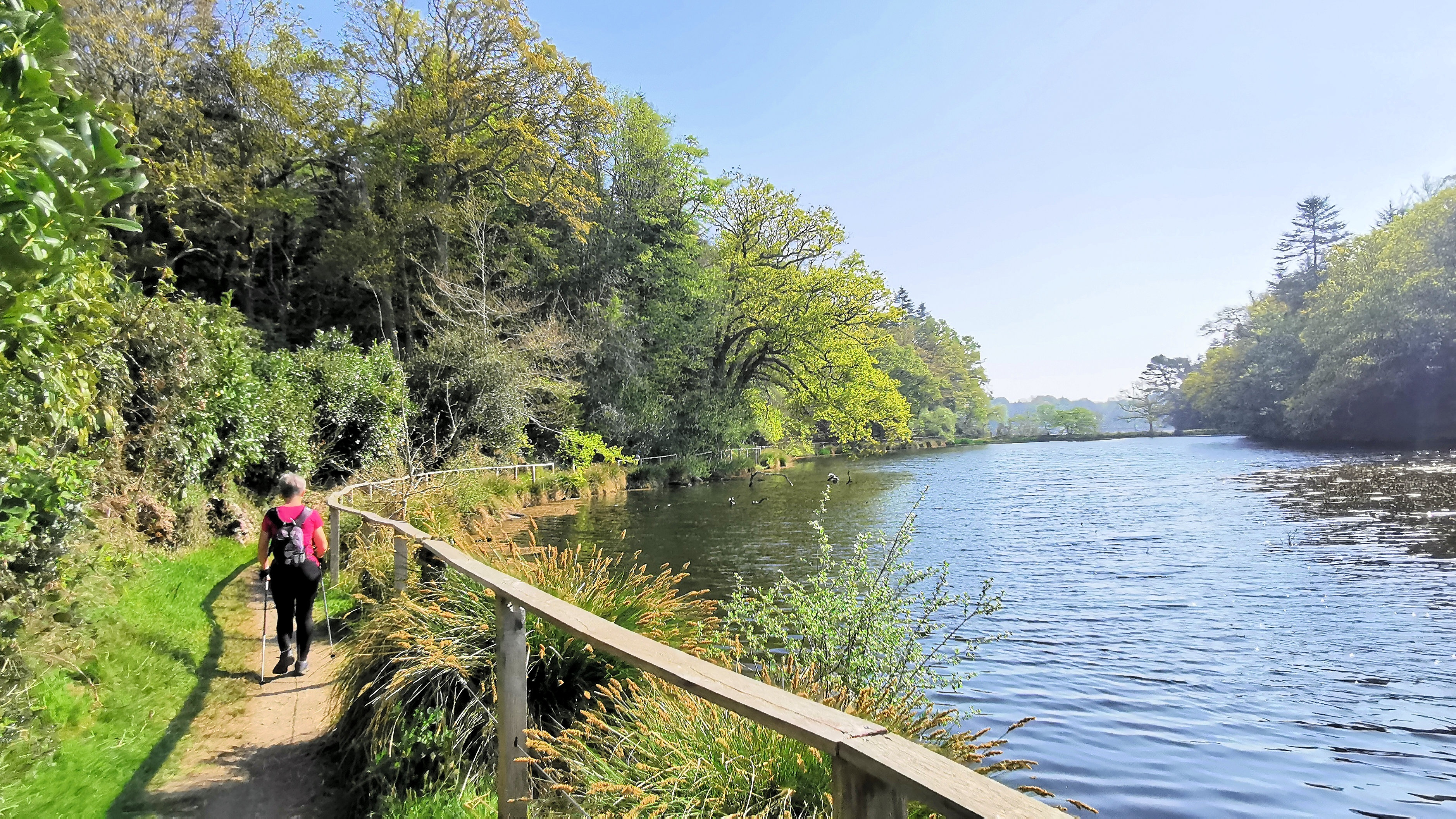 41-IMG_20210422_110825