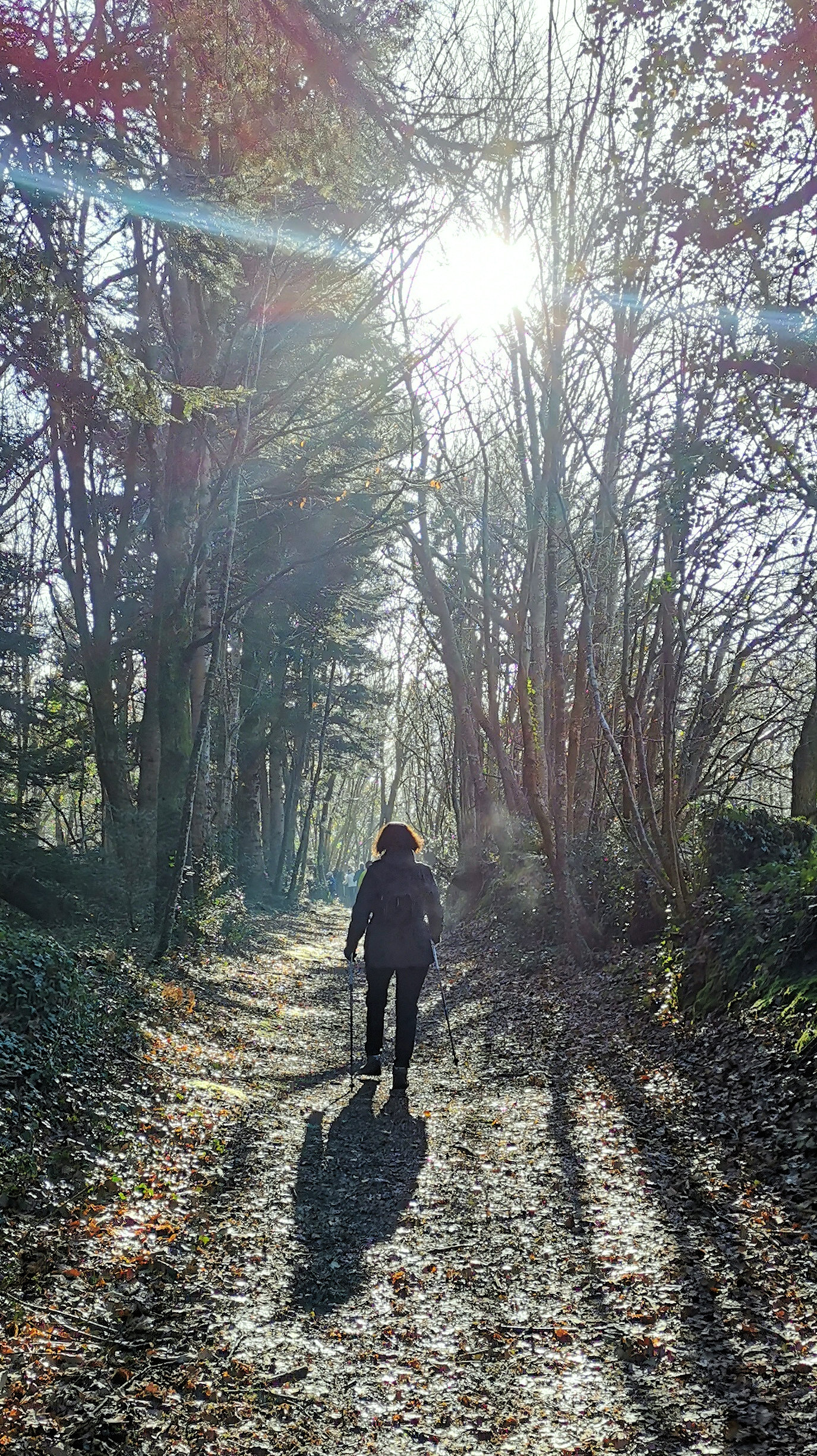 43-IMG_20210206_111550