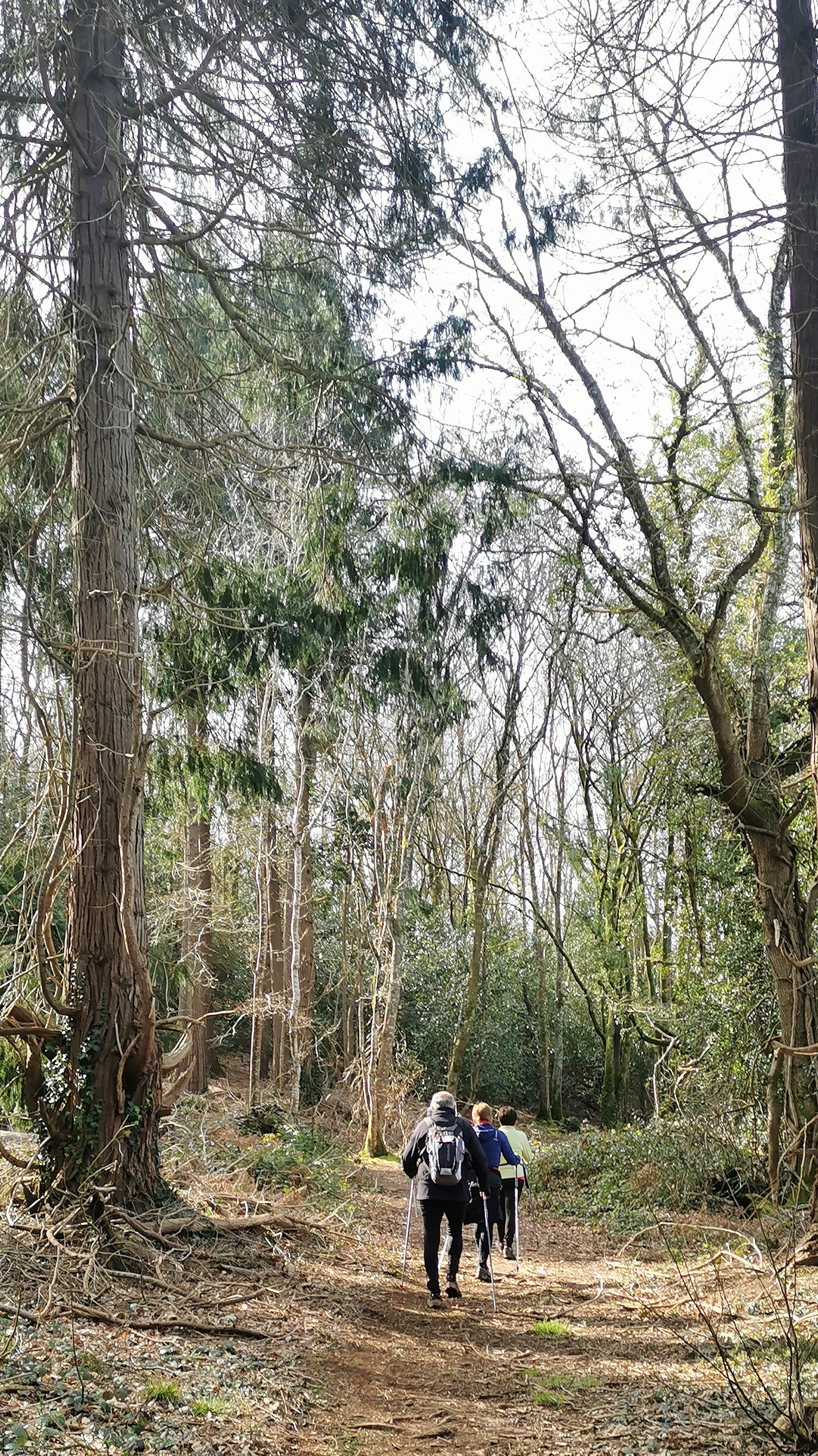 74-IMG_20210318_111226