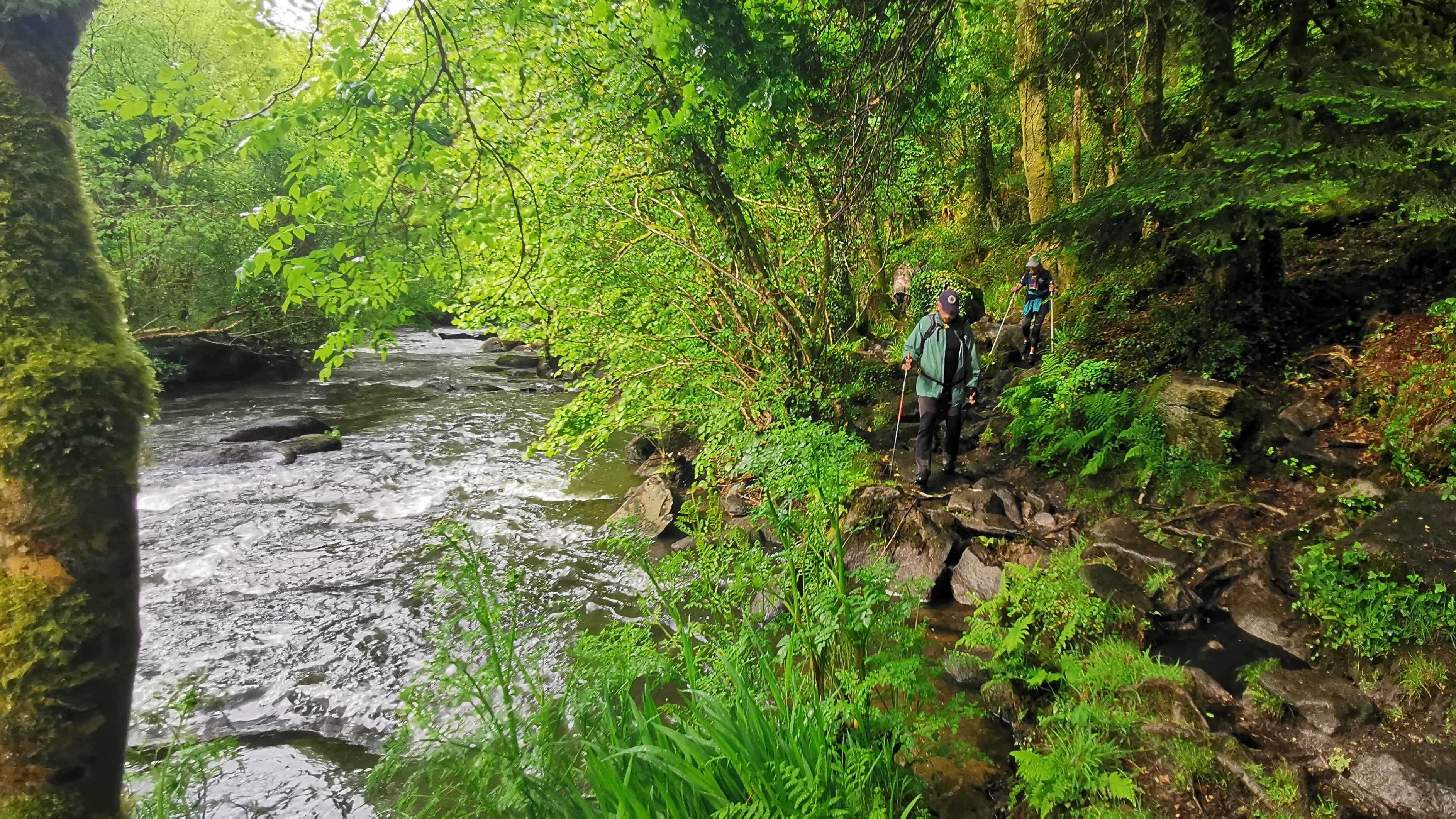 047-IMG_20210513_102644