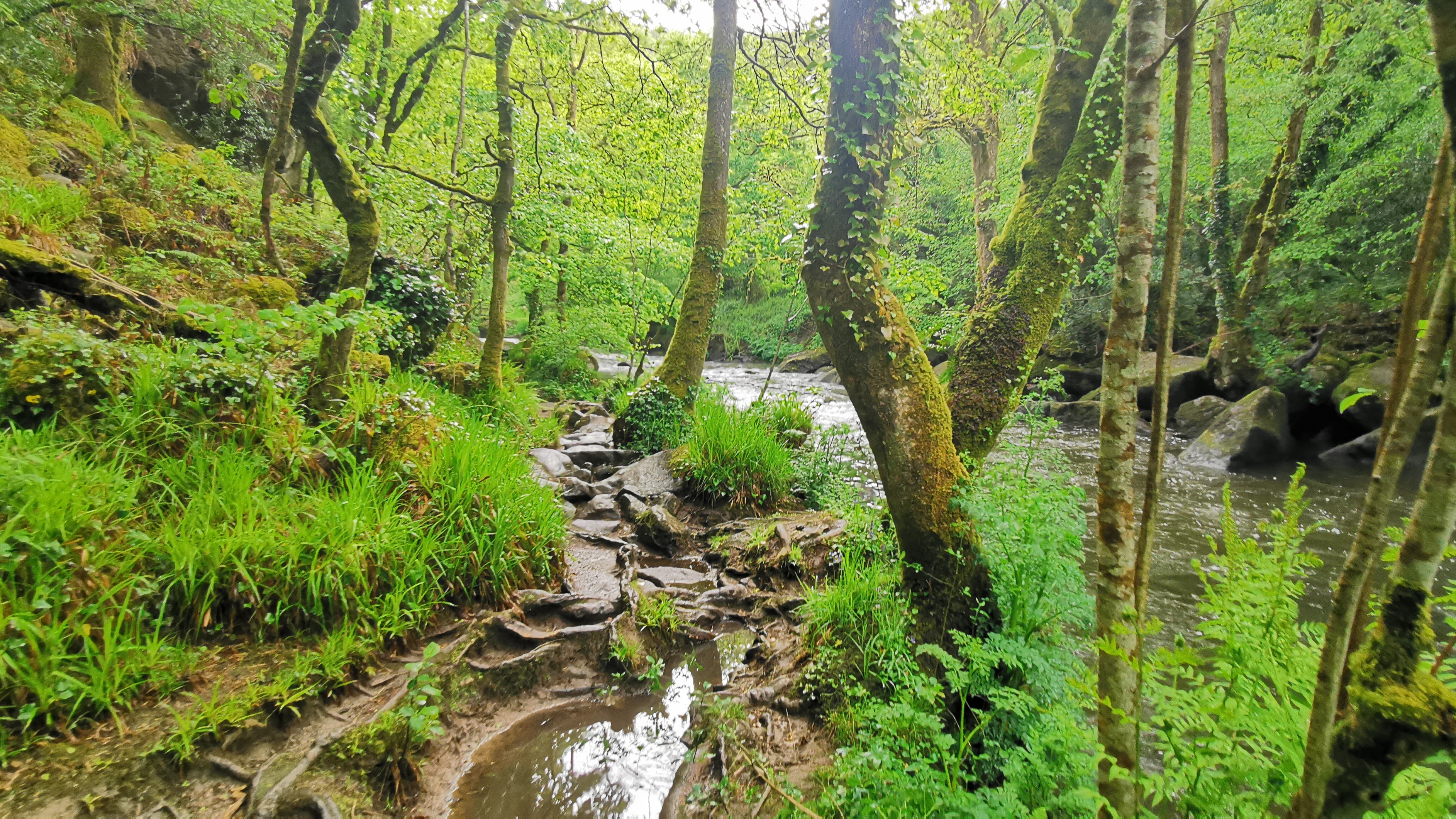 049-IMG_20210513_102946