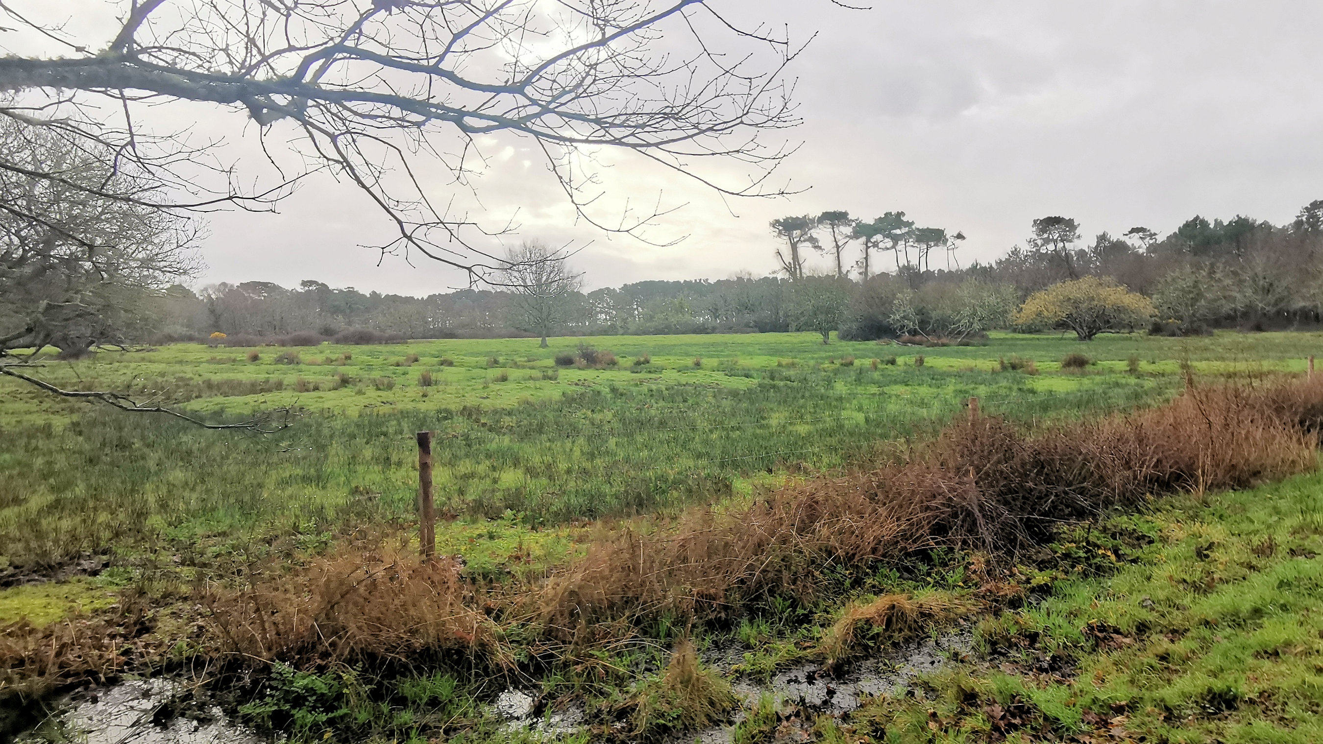 01-IMG_20210221_094712