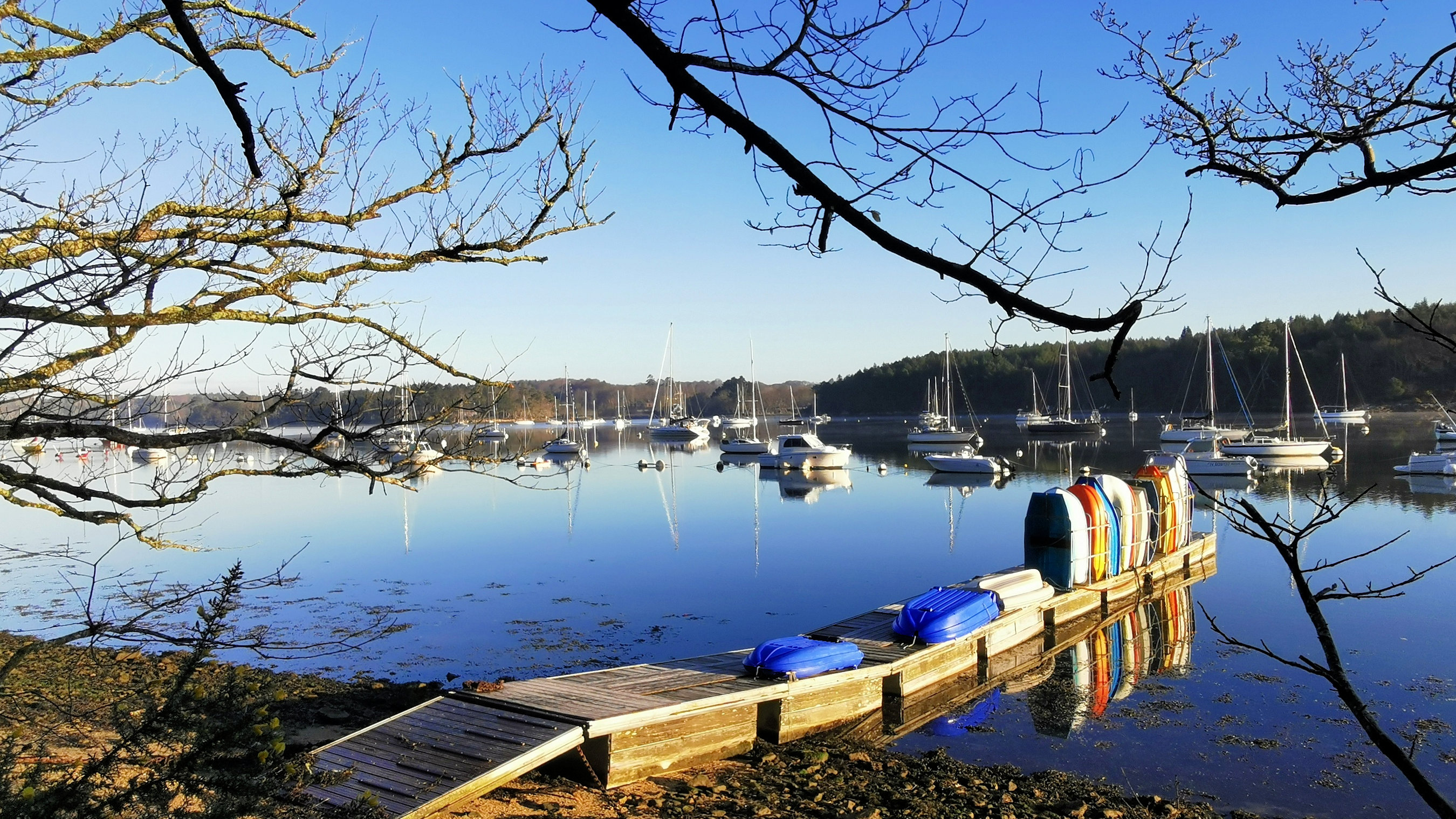 04-IMG_20210206_094350