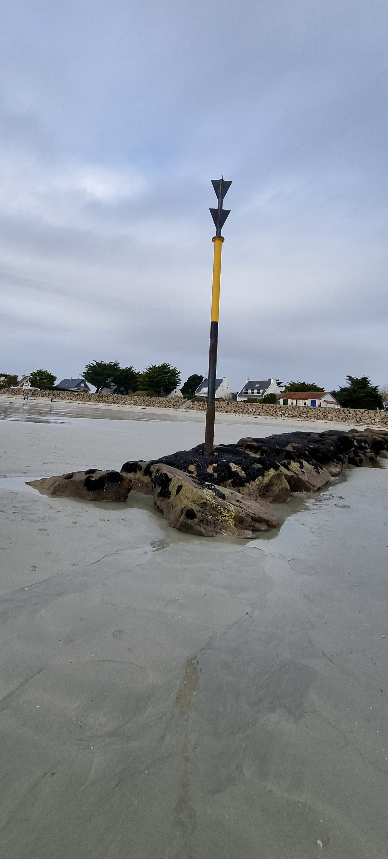 77-20211121_111053(0)