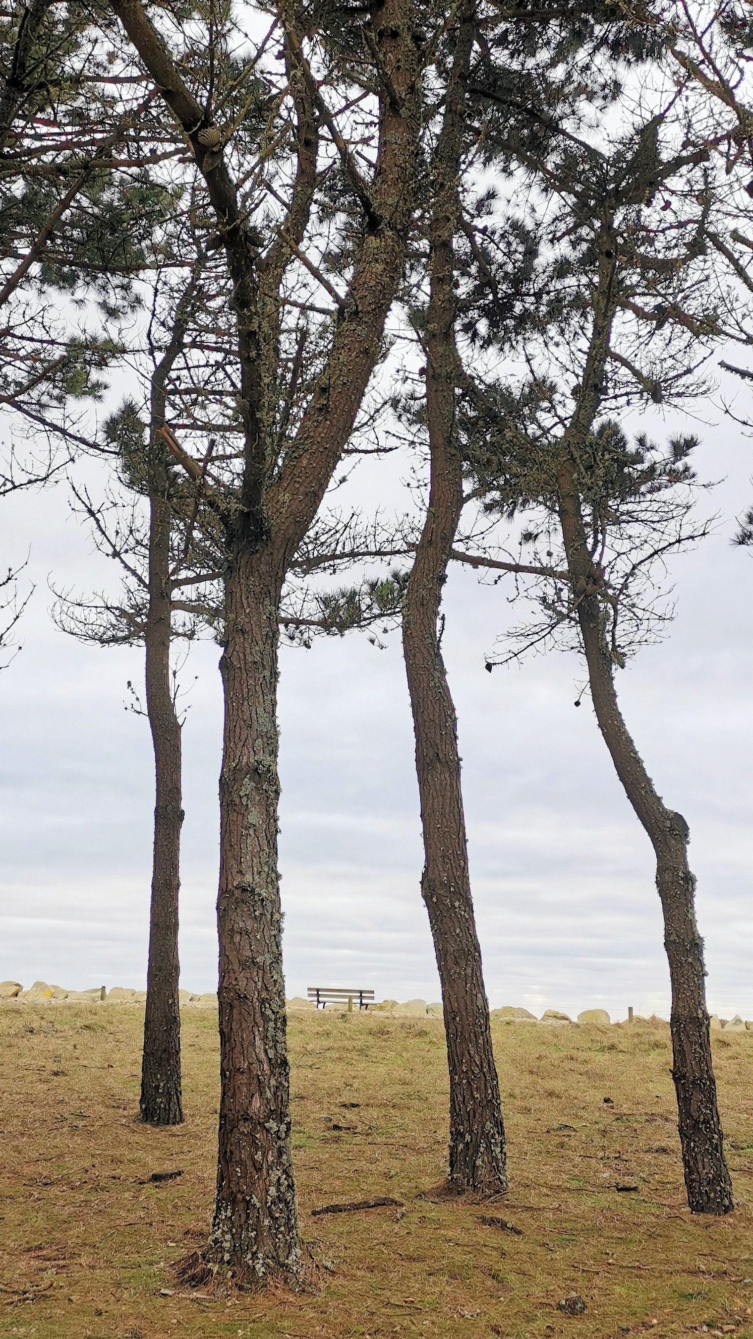 27-IMG_20210208_120057