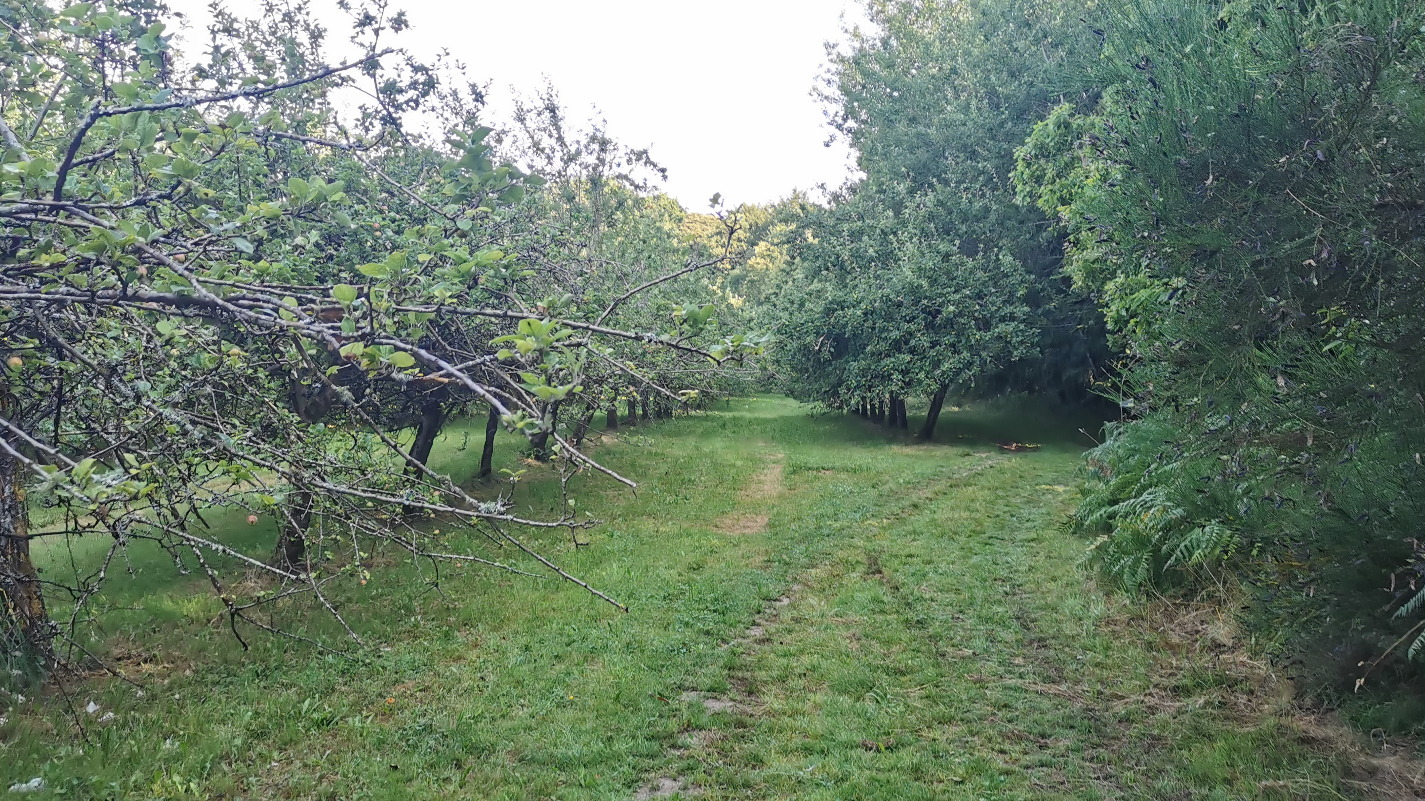 28-IMG_20210722_100306